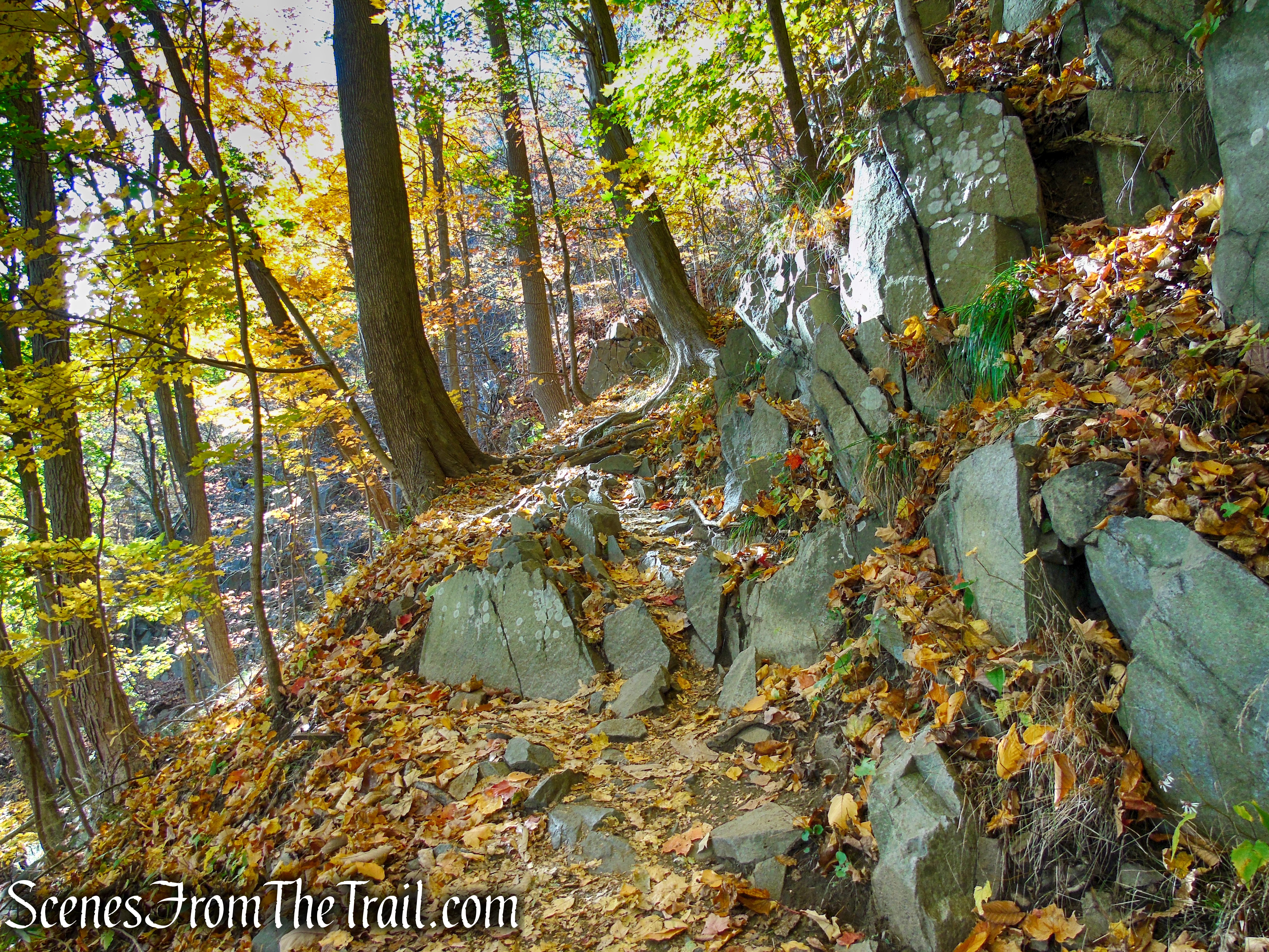 Shore Trail - Palisades Interstate Park
