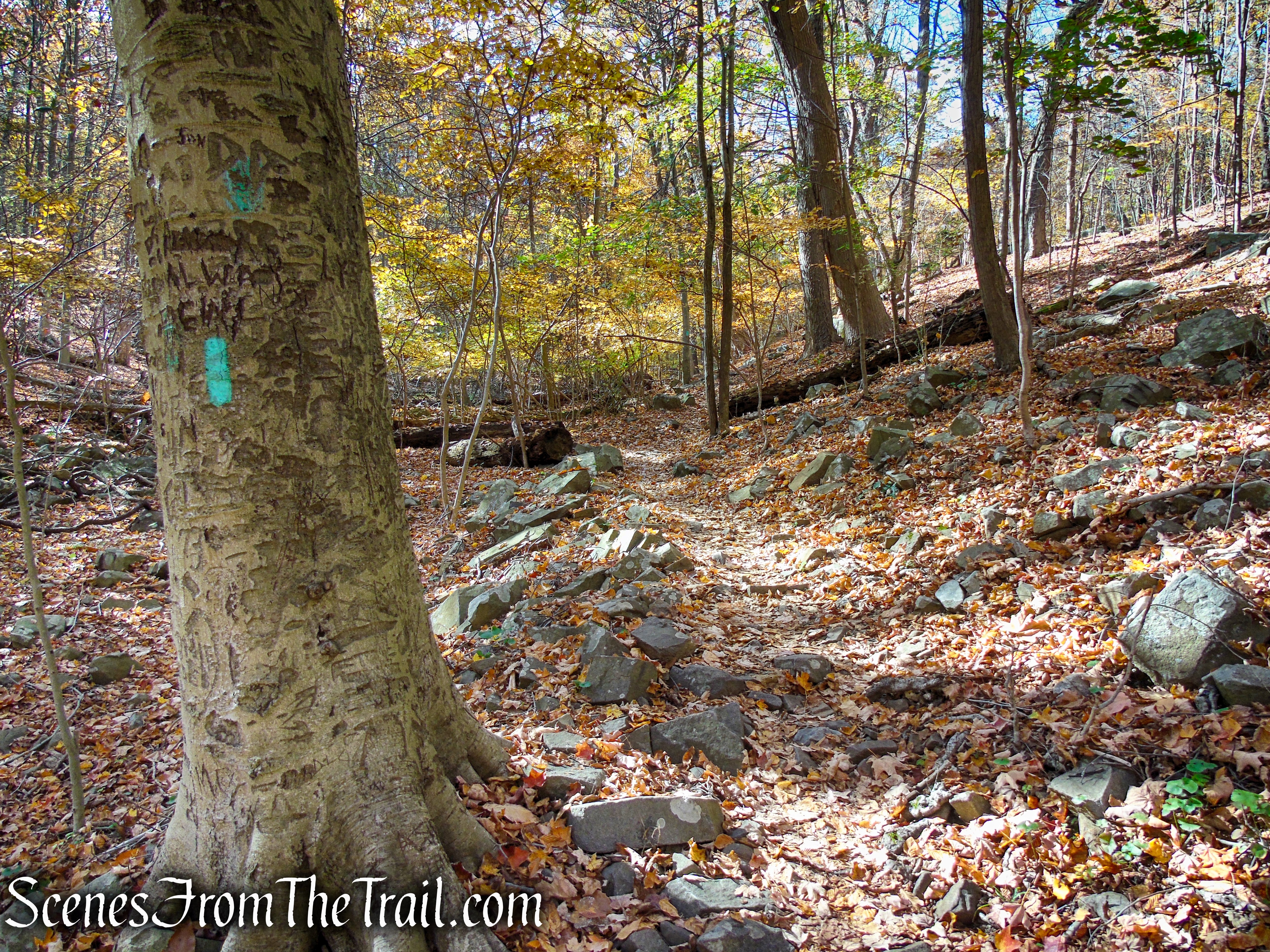 Long Path - Palisades Interstate Park