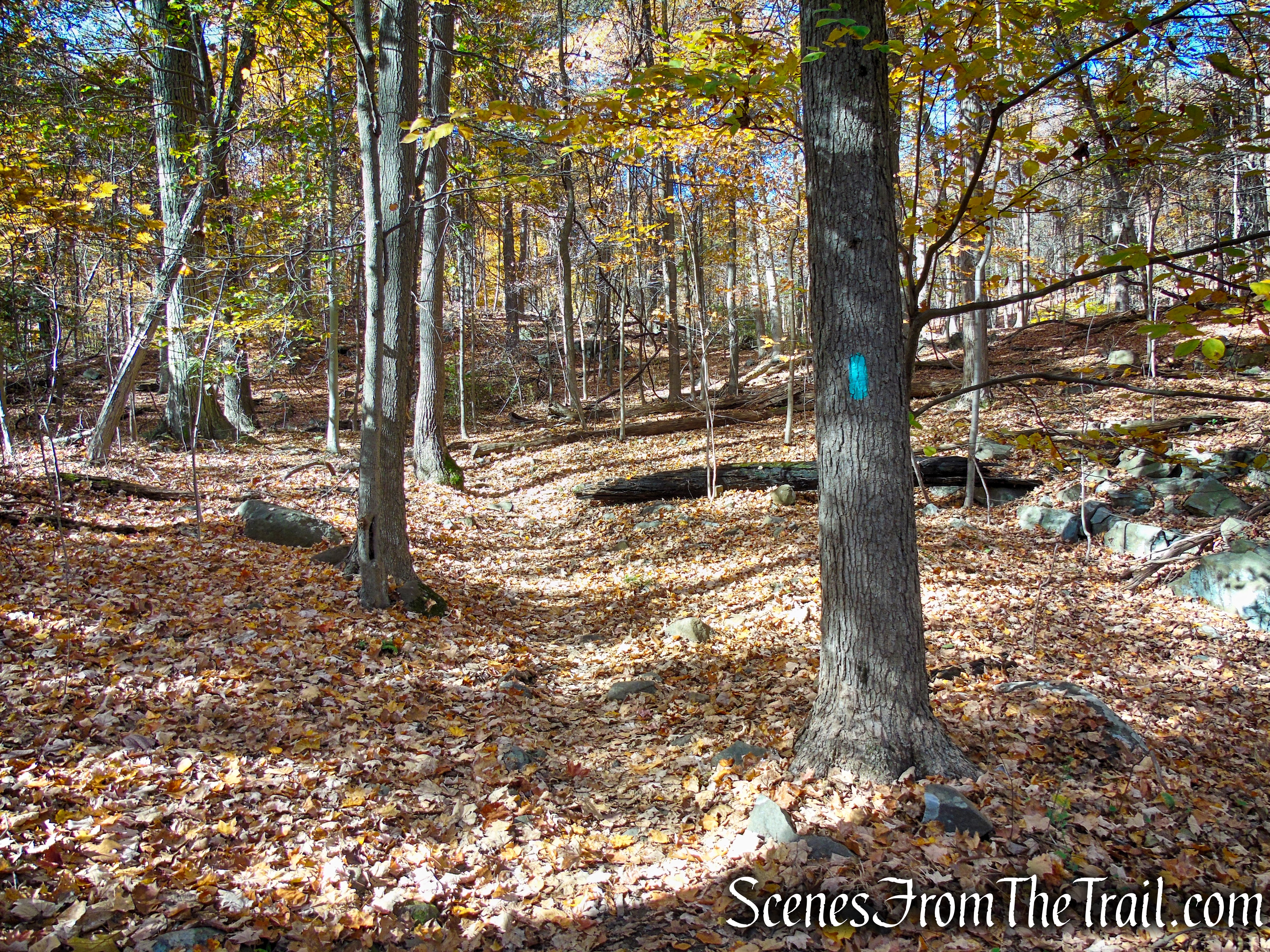 Long Path - Palisades Interstate Park