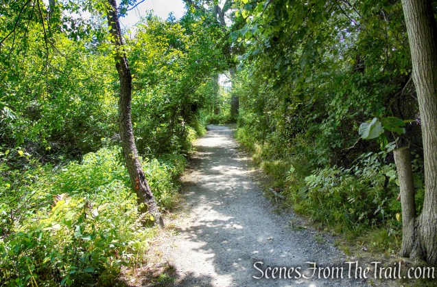 Lighthouse Trail - Ruth Reynolds Glunt Nature Preserve