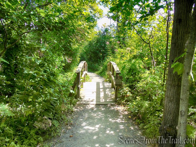 Lighthouse Trail - Ruth Reynolds Glunt Nature Preserve