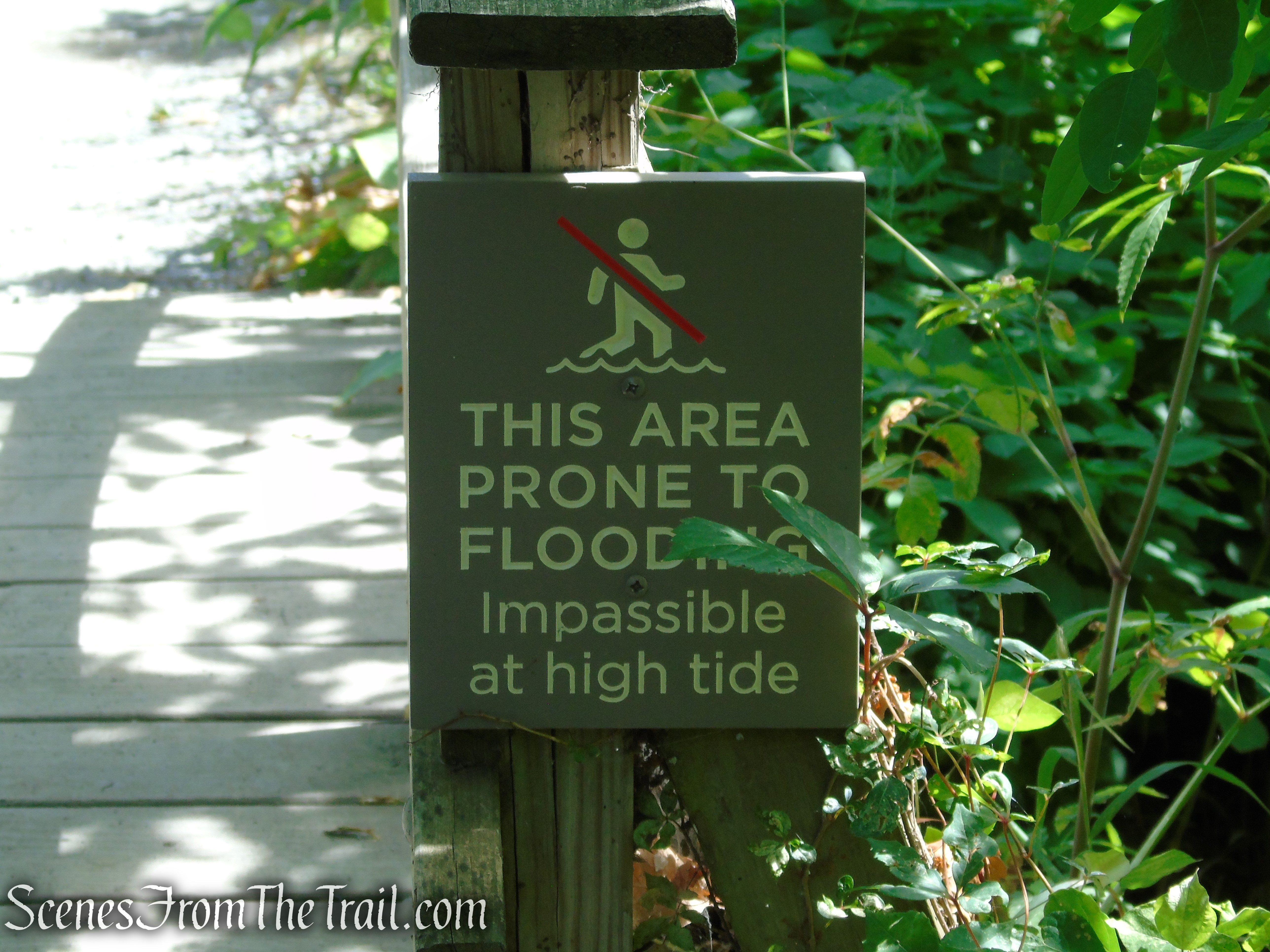 Lighthouse Trail - Ruth Reynolds Glunt Nature Preserve