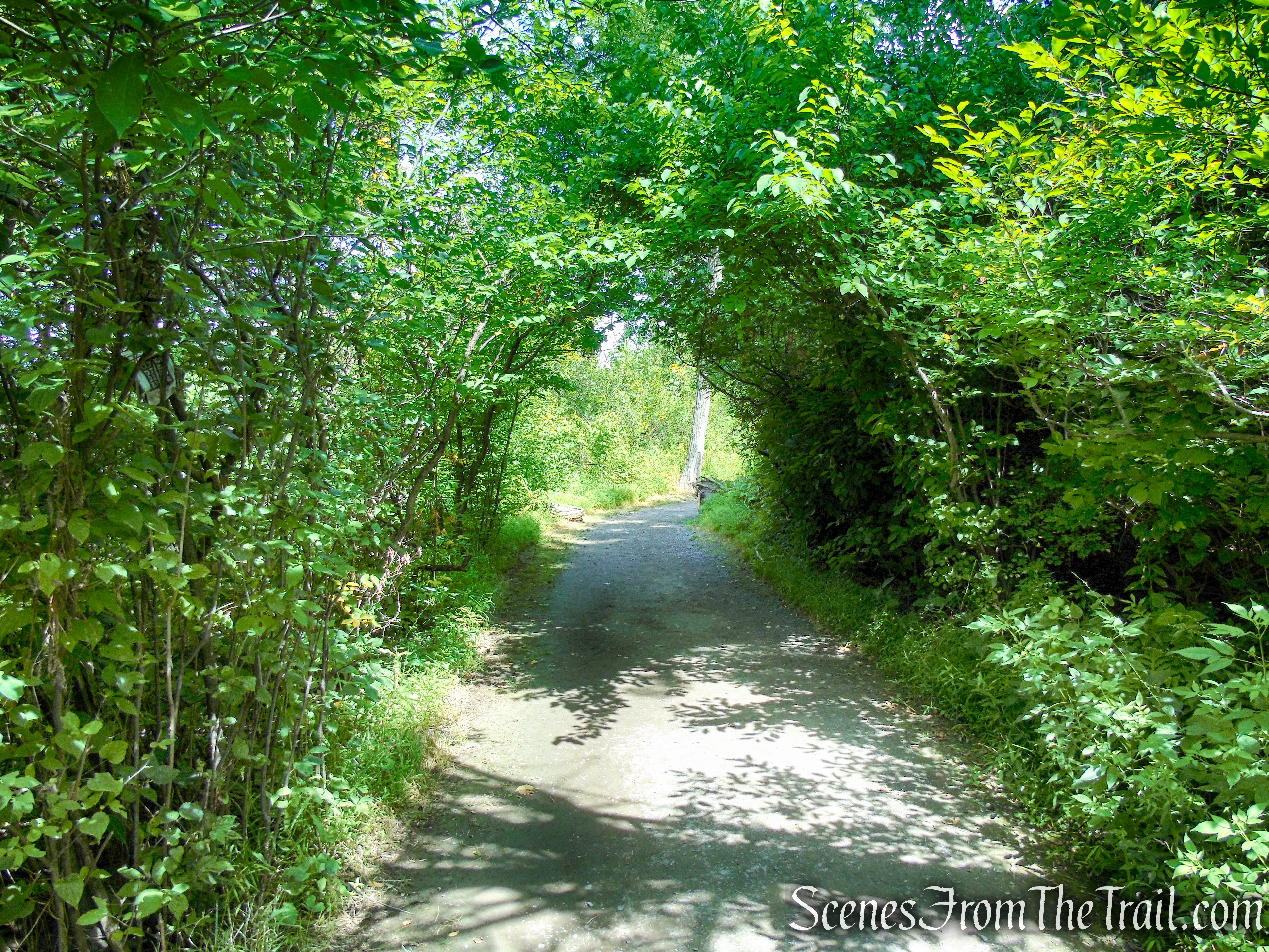 Lighthouse Trail - Ruth Reynolds Glunt Nature Preserve