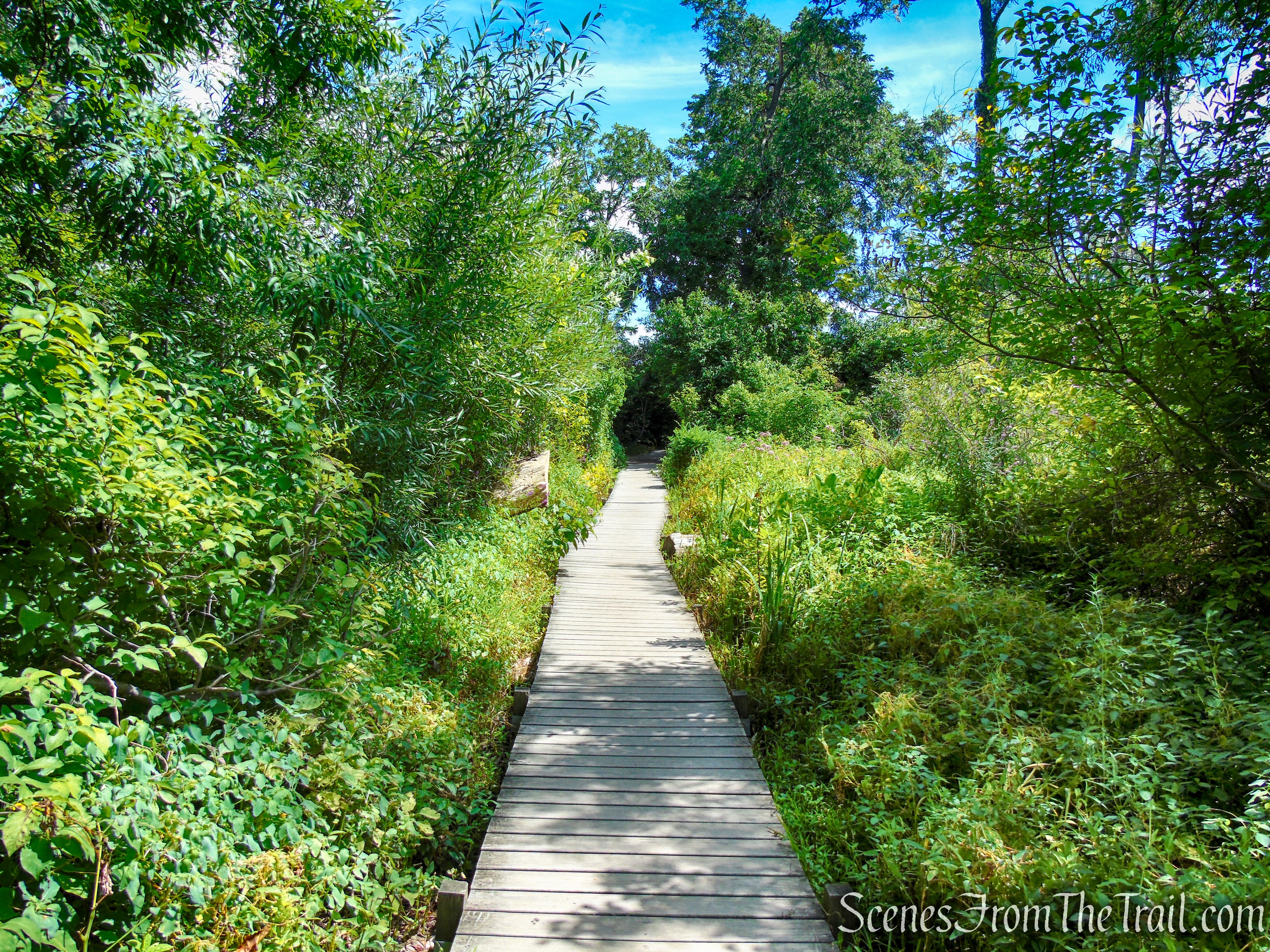 Lighthouse Trail - Ruth Reynolds Glunt Nature Preserve