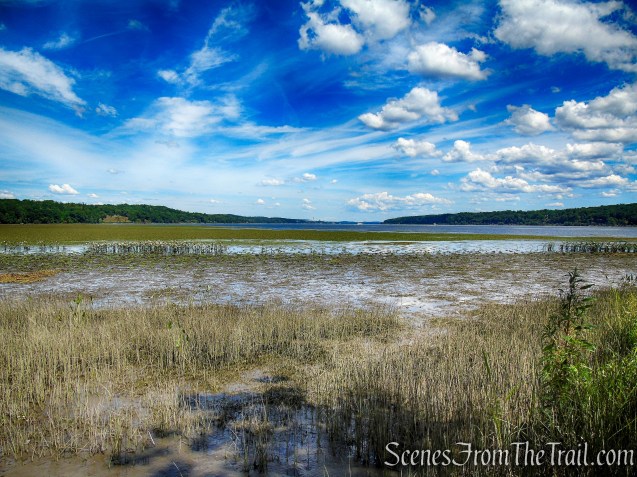 Lighthouse Trail - Ruth Reynolds Glunt Nature Preserve