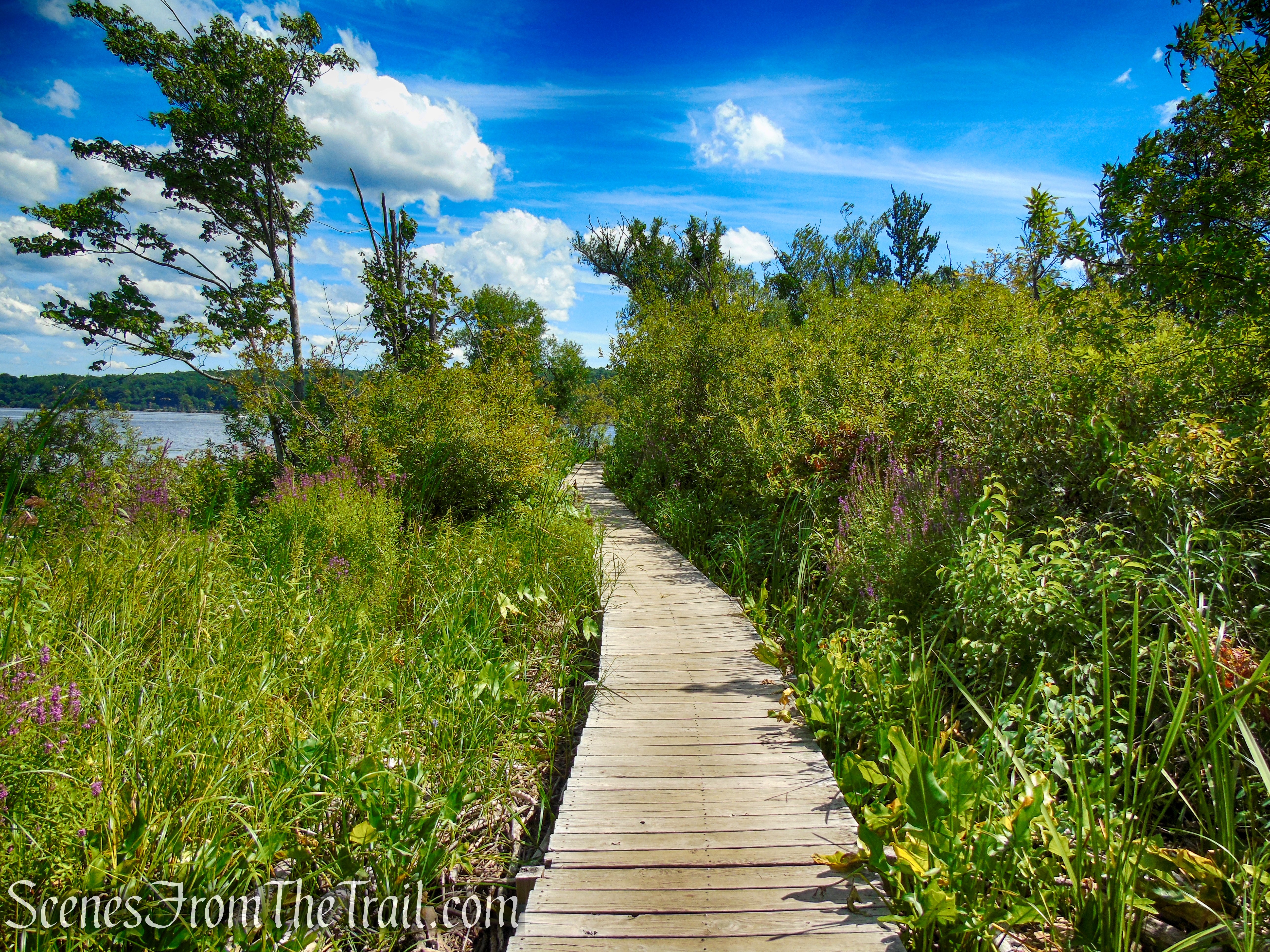 Lighthouse Trail - Ruth Reynolds Glunt Nature Preserve
