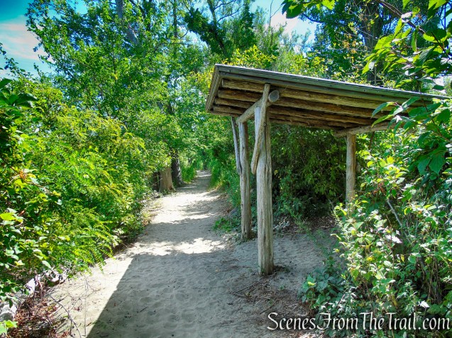 Lighthouse Trail - Ruth Reynolds Glunt Nature Preserve