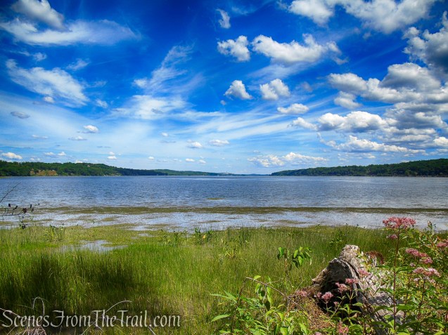 Lighthouse Trail - Ruth Reynolds Glunt Nature Preserve