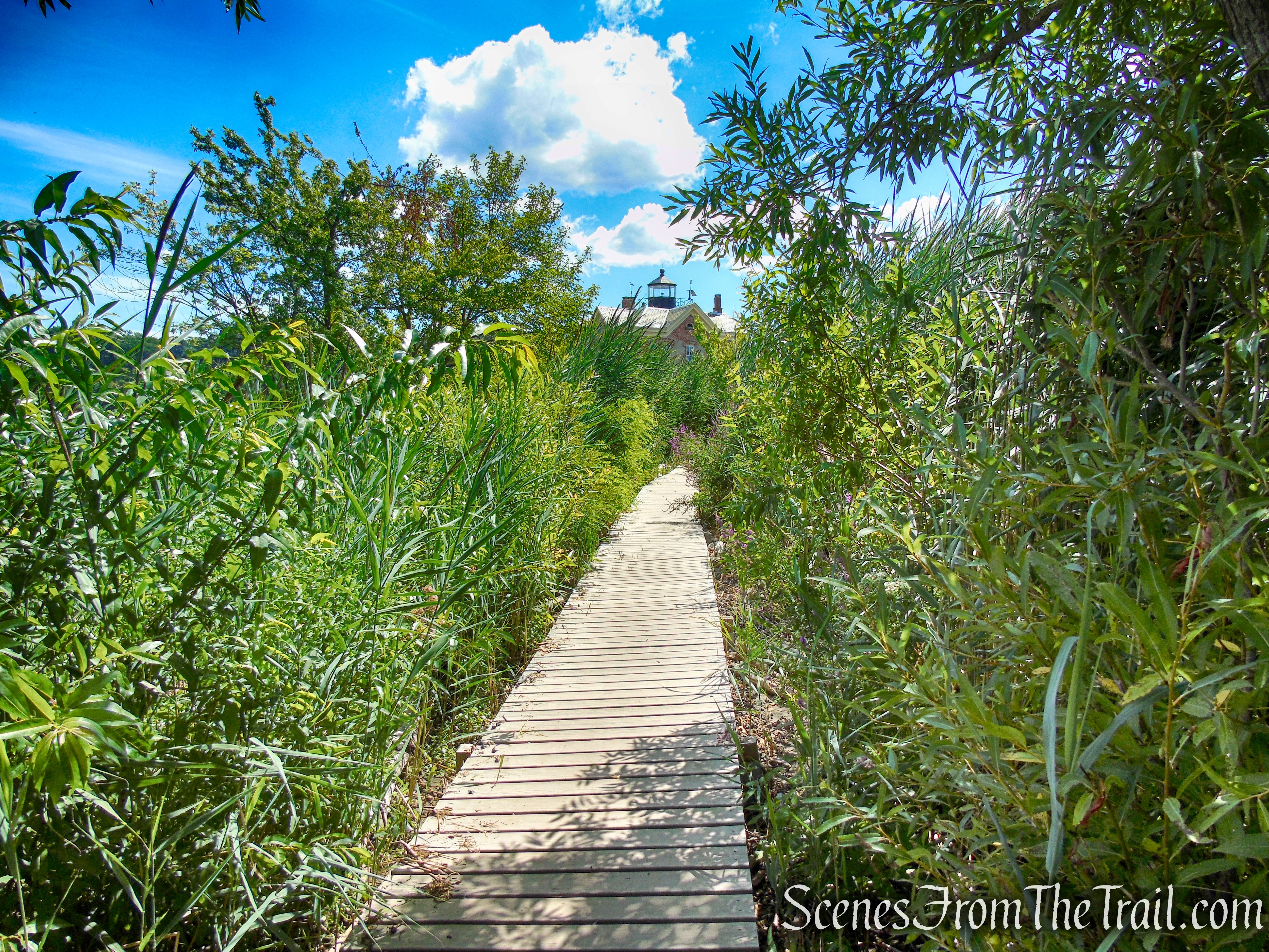 Lighthouse Trail - Ruth Reynolds Glunt Nature Preserve