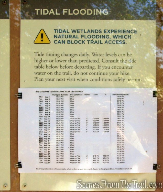 Lighthouse Trail – Ruth Reynolds Glunt Nature Preserve