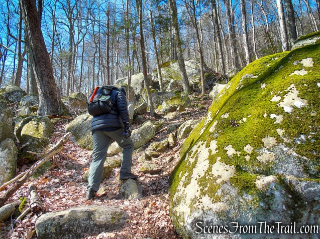 Red Trail – Squantz Pond State Park