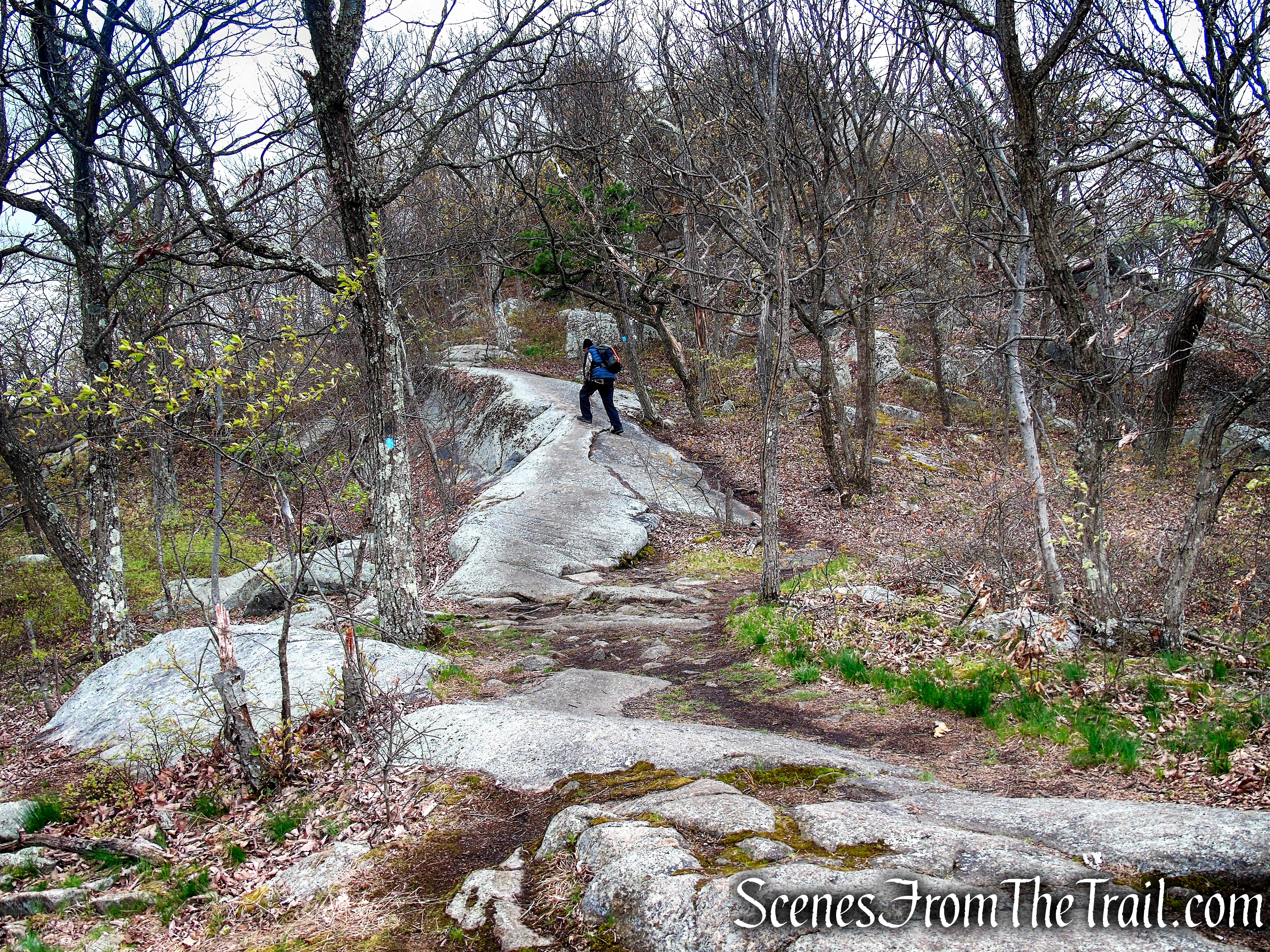 Timp-Torne Trail - Popolopen Torne