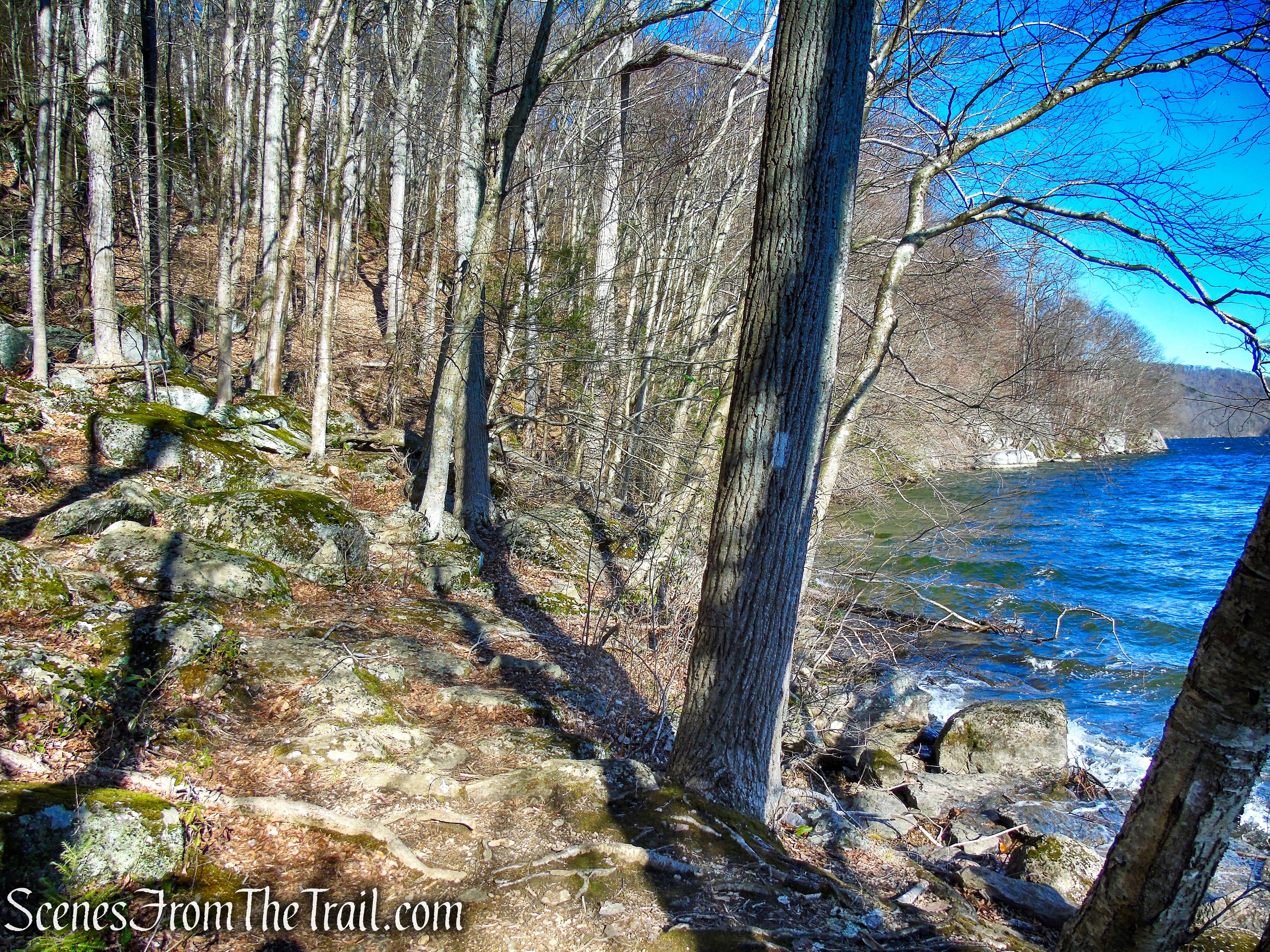 White Trail - Squantz Pond State Park