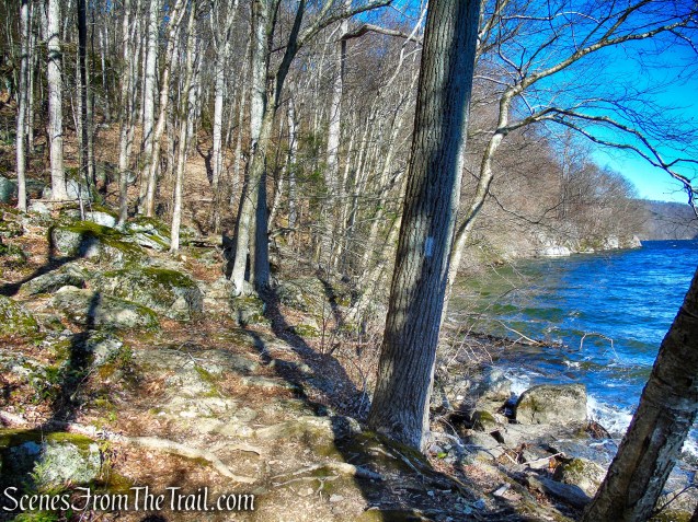 White Trail - Squantz Pond State Park