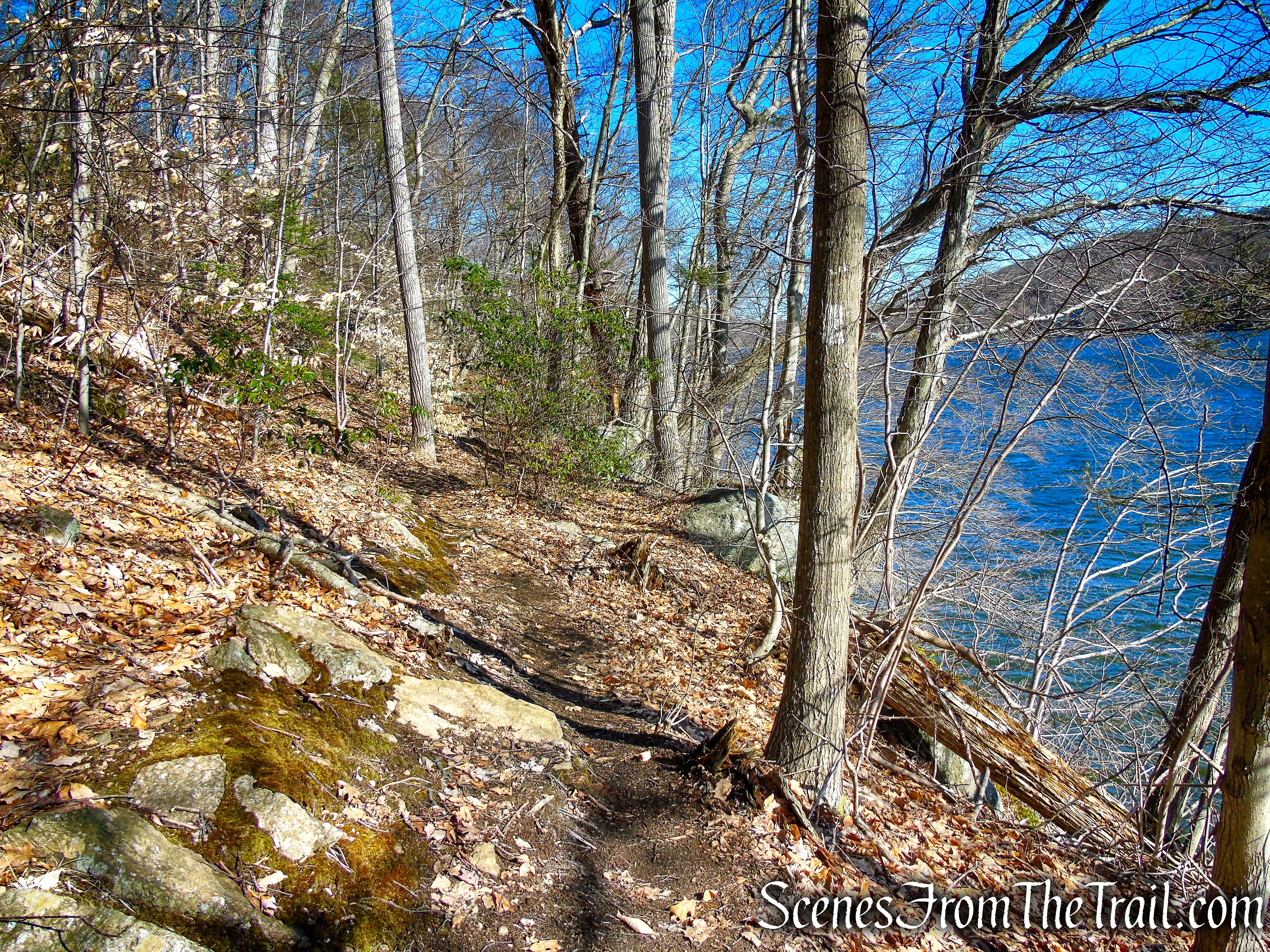 White Trail - Squantz Pond State Park