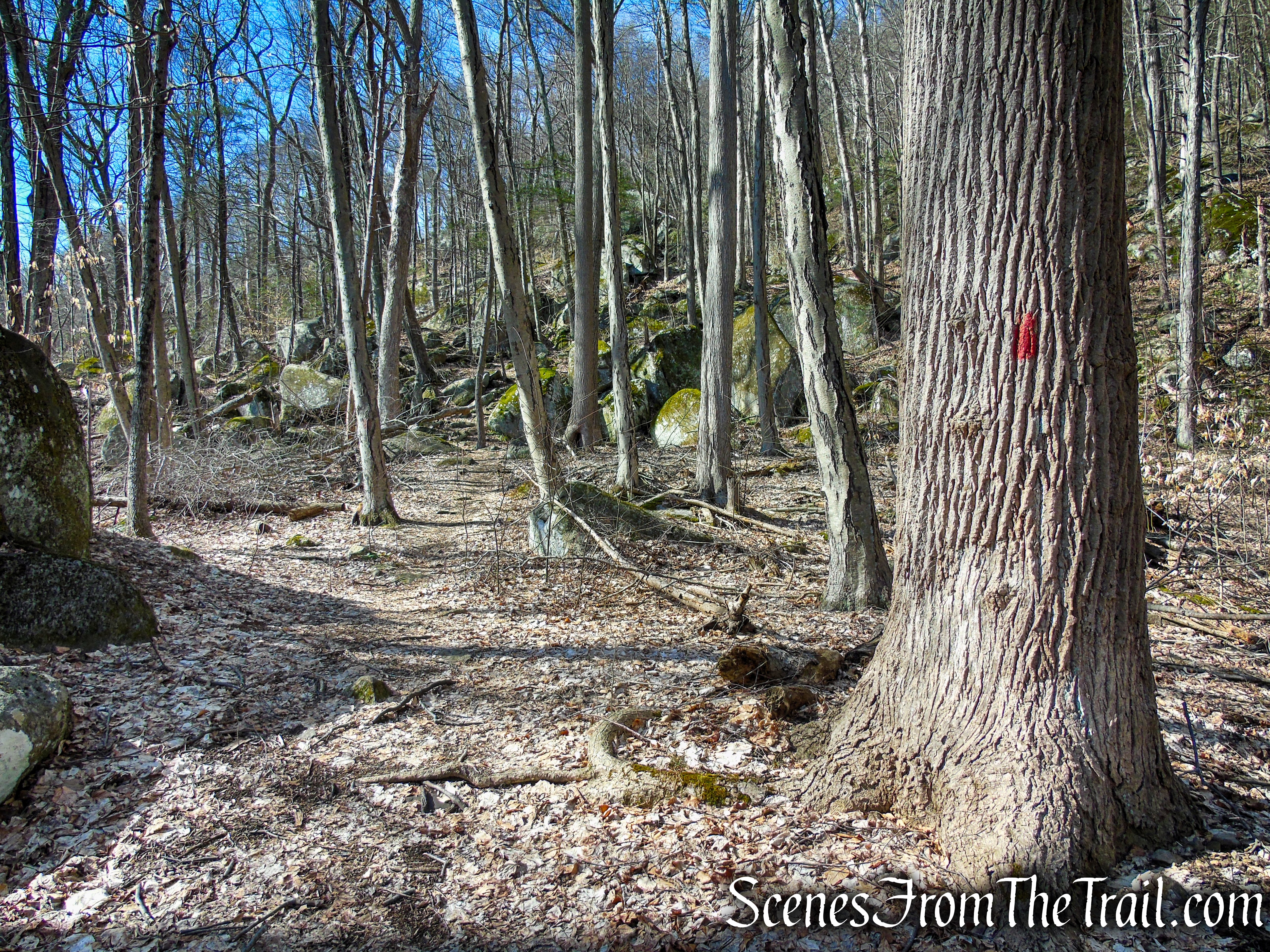 Red Trail - Squantz Pond State Park