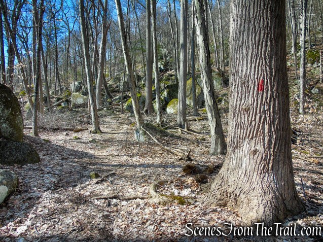 Red Trail - Squantz Pond State Park