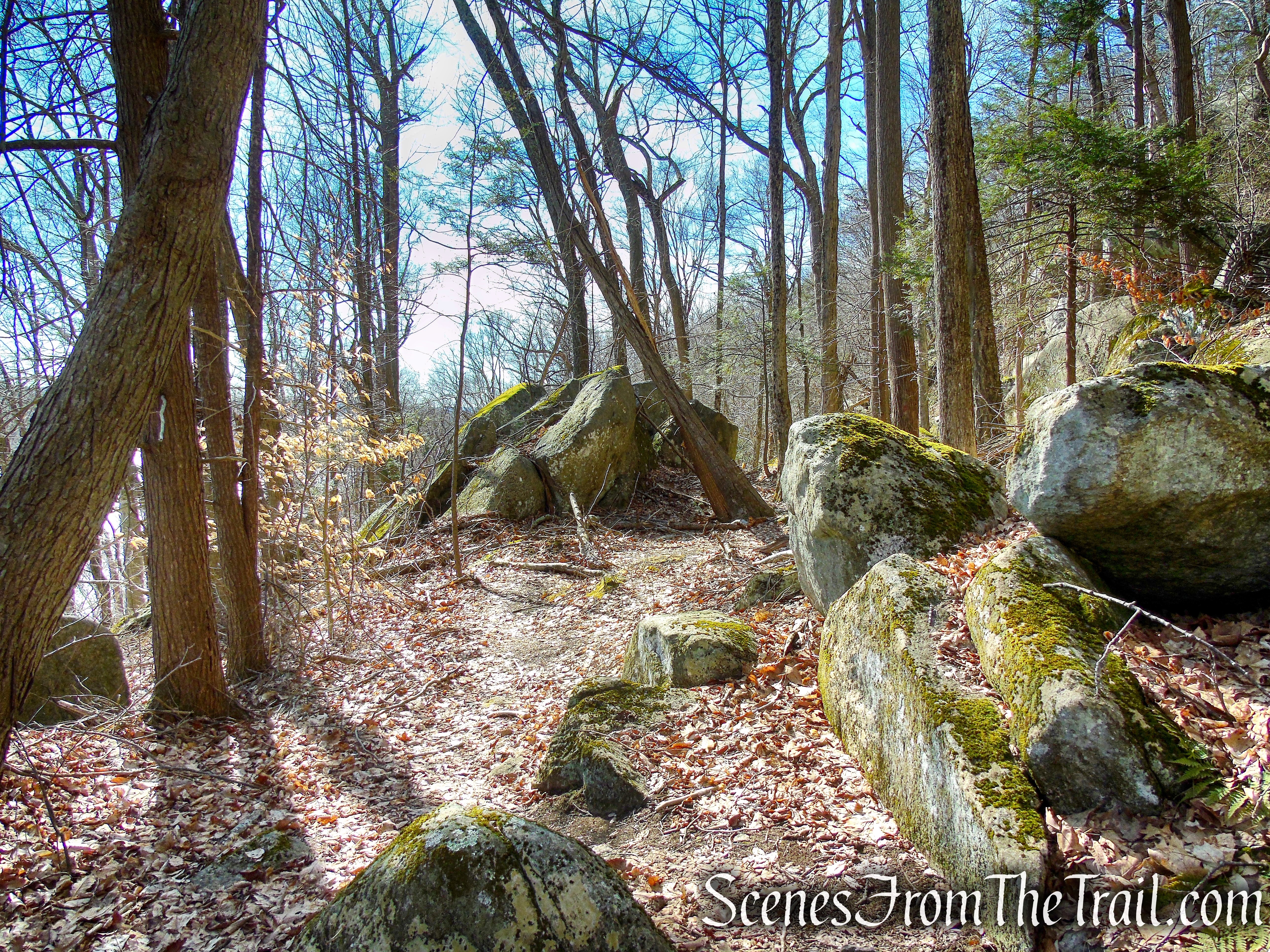 Red Trail - Squantz Pond State Park