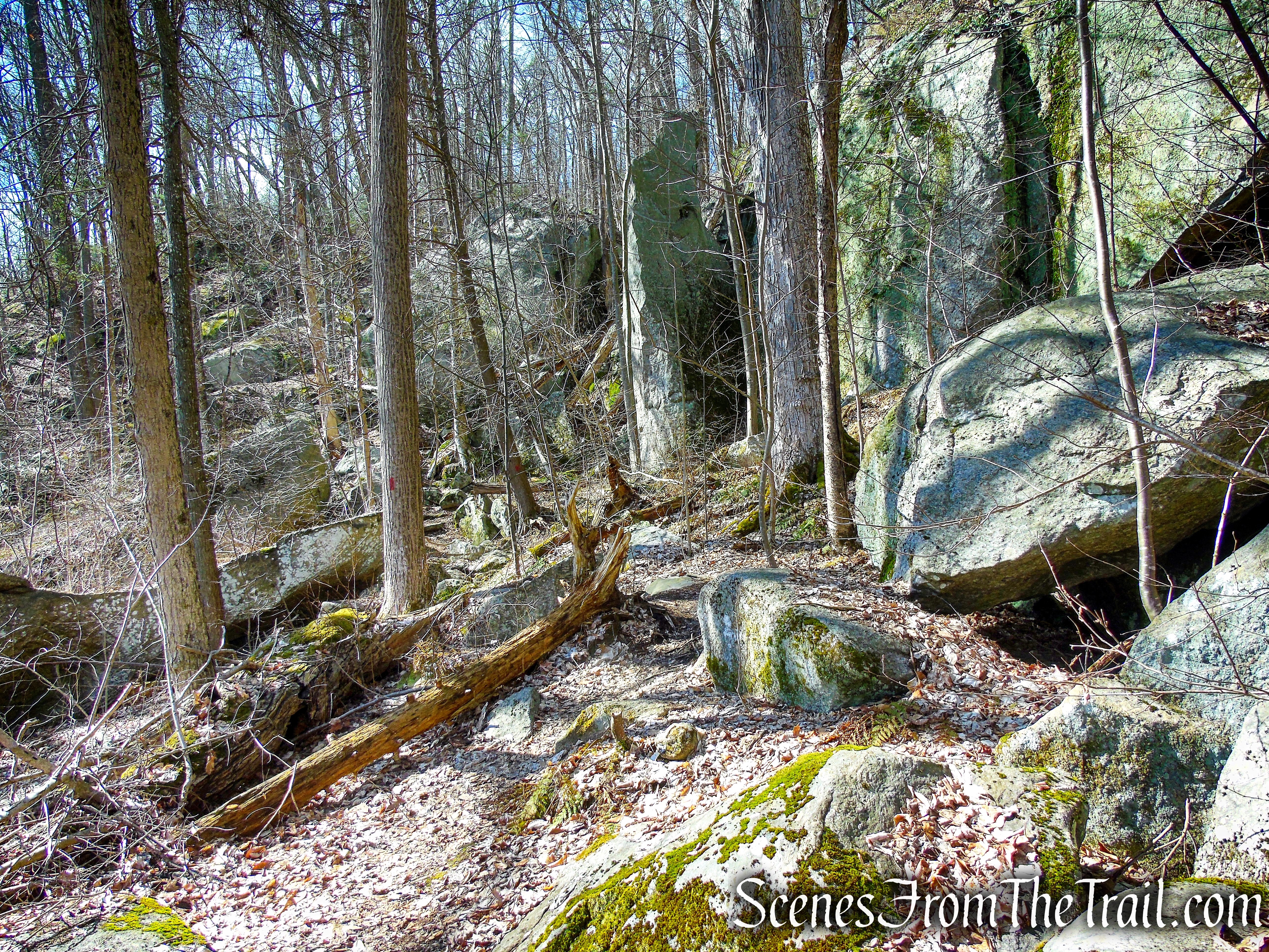 Red Trail - Squantz Pond State Park