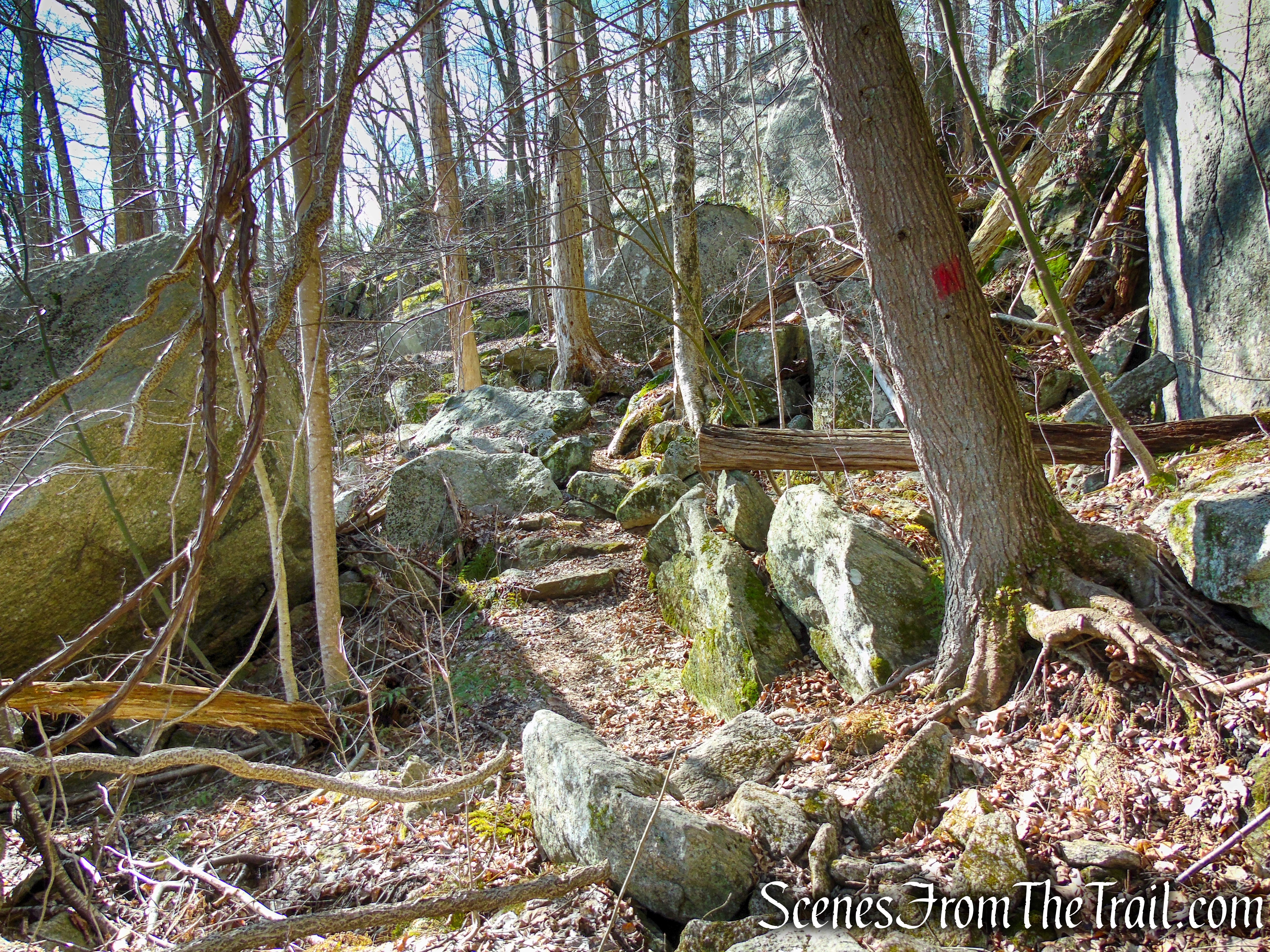 Red Trail - Squantz Pond State Park