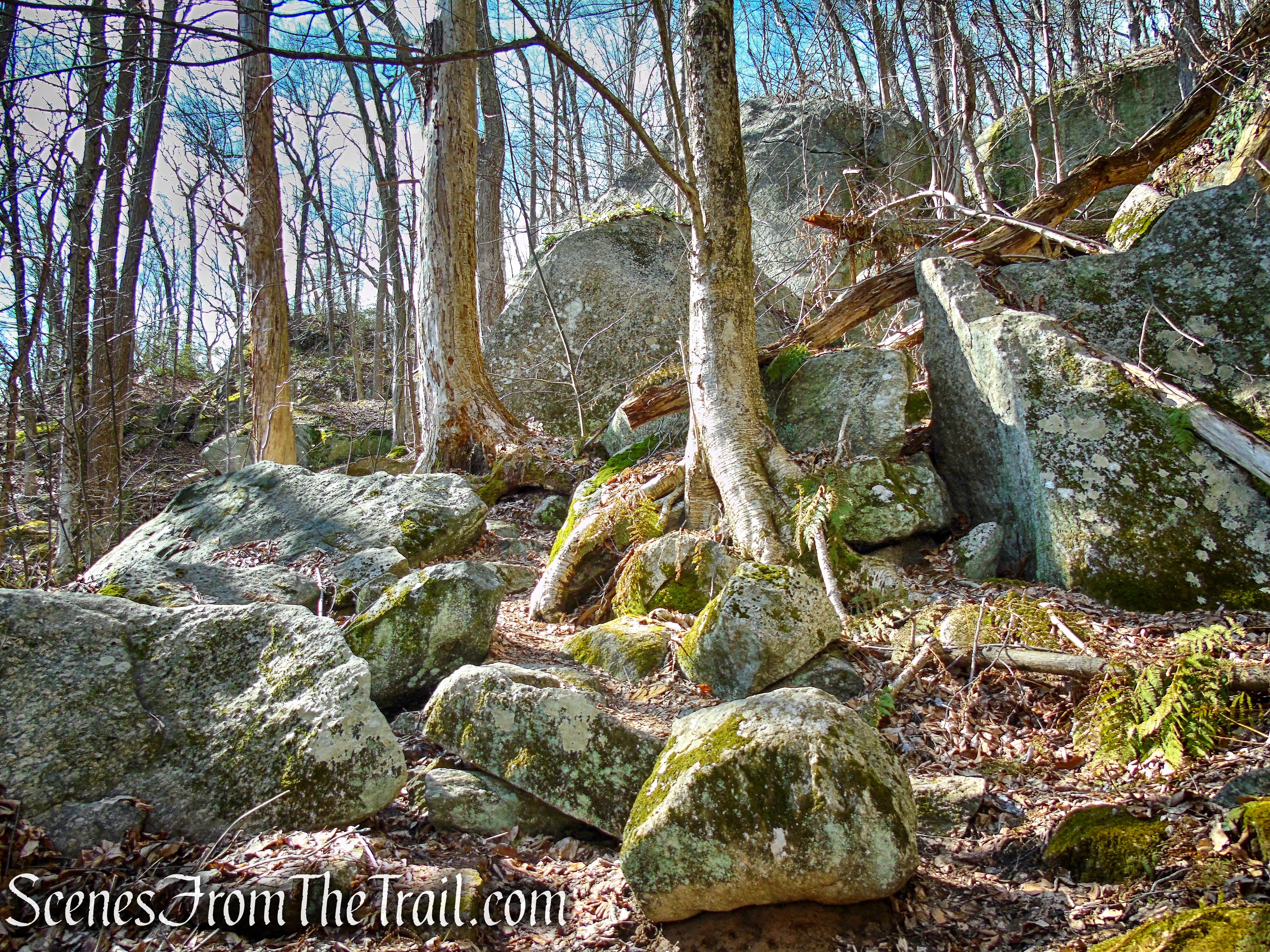 Red Trail - Squantz Pond State Park