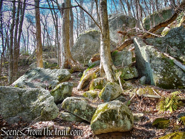 Red Trail - Squantz Pond State Park