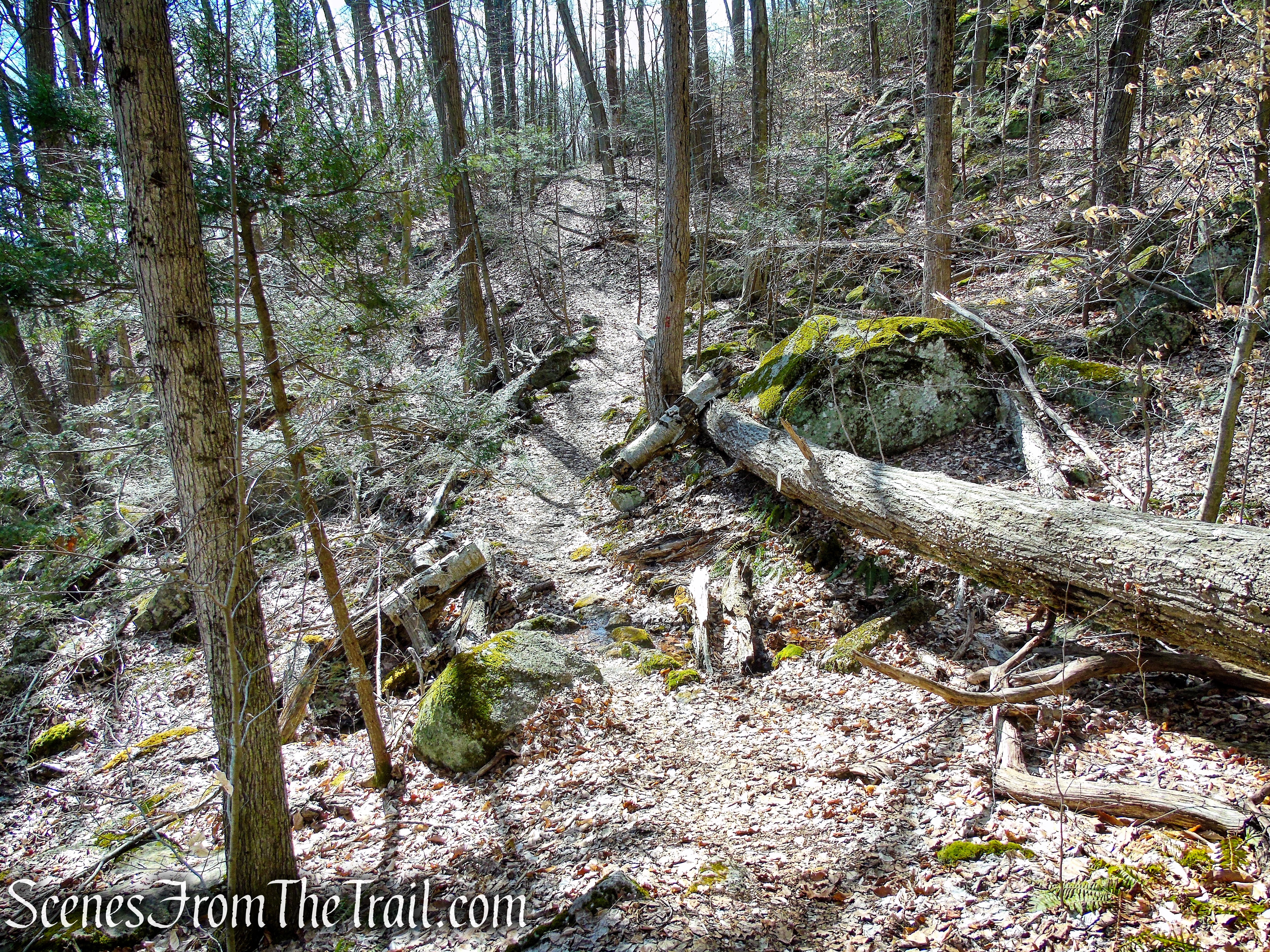 Red Trail - Squantz Pond State Park
