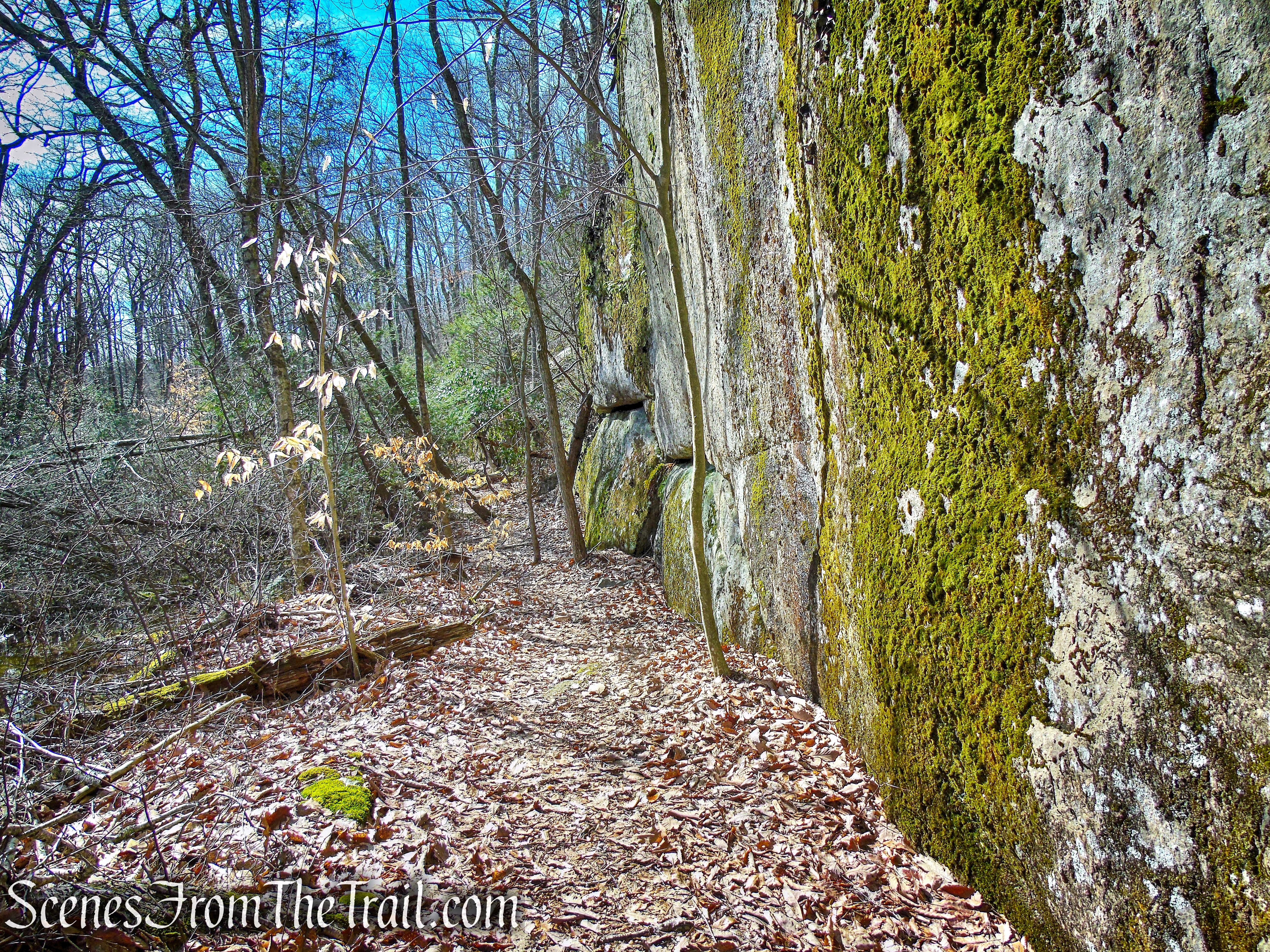 Red Trail - Squantz Pond State Park