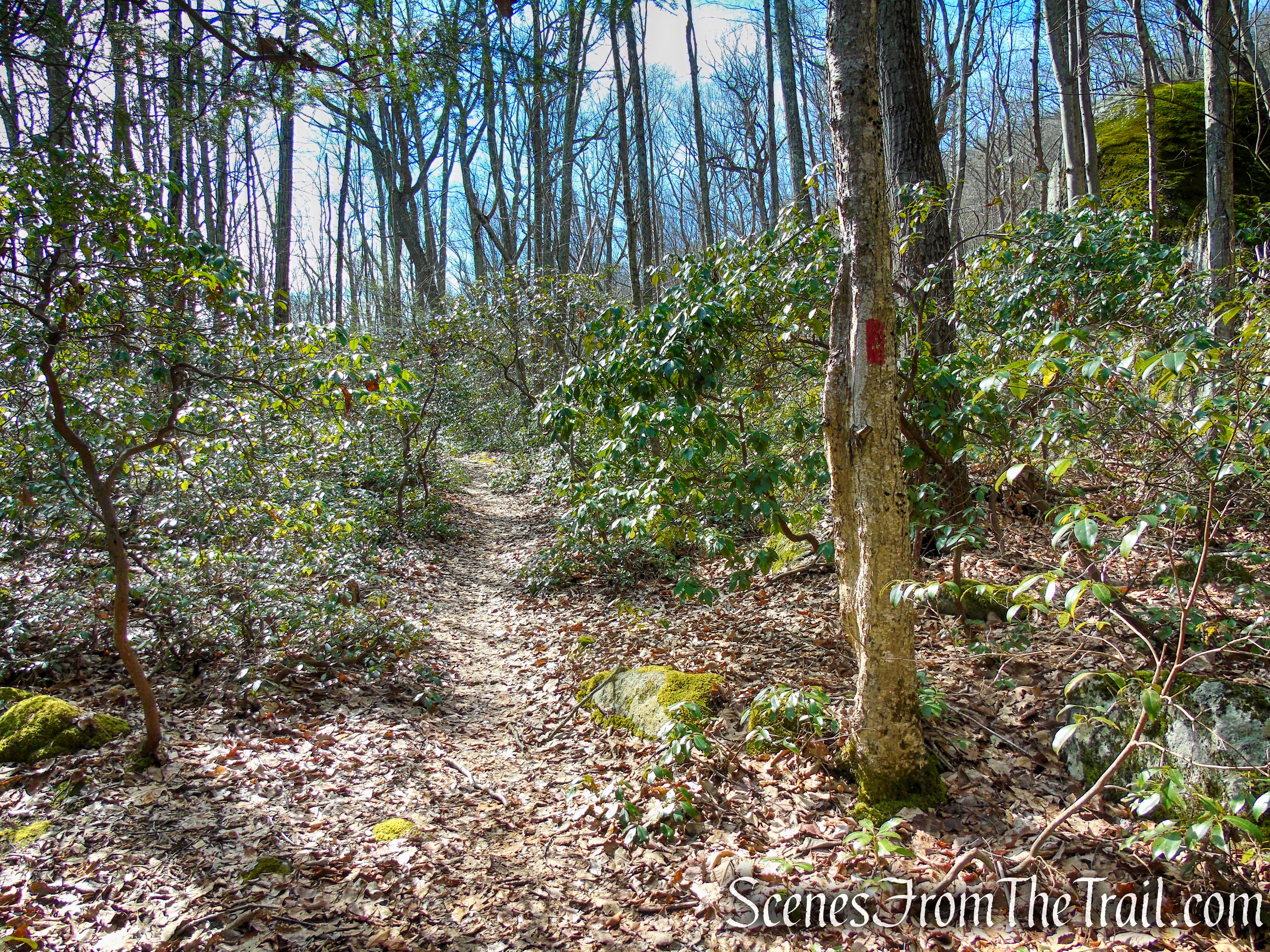 Red Trail - Squantz Pond State Park