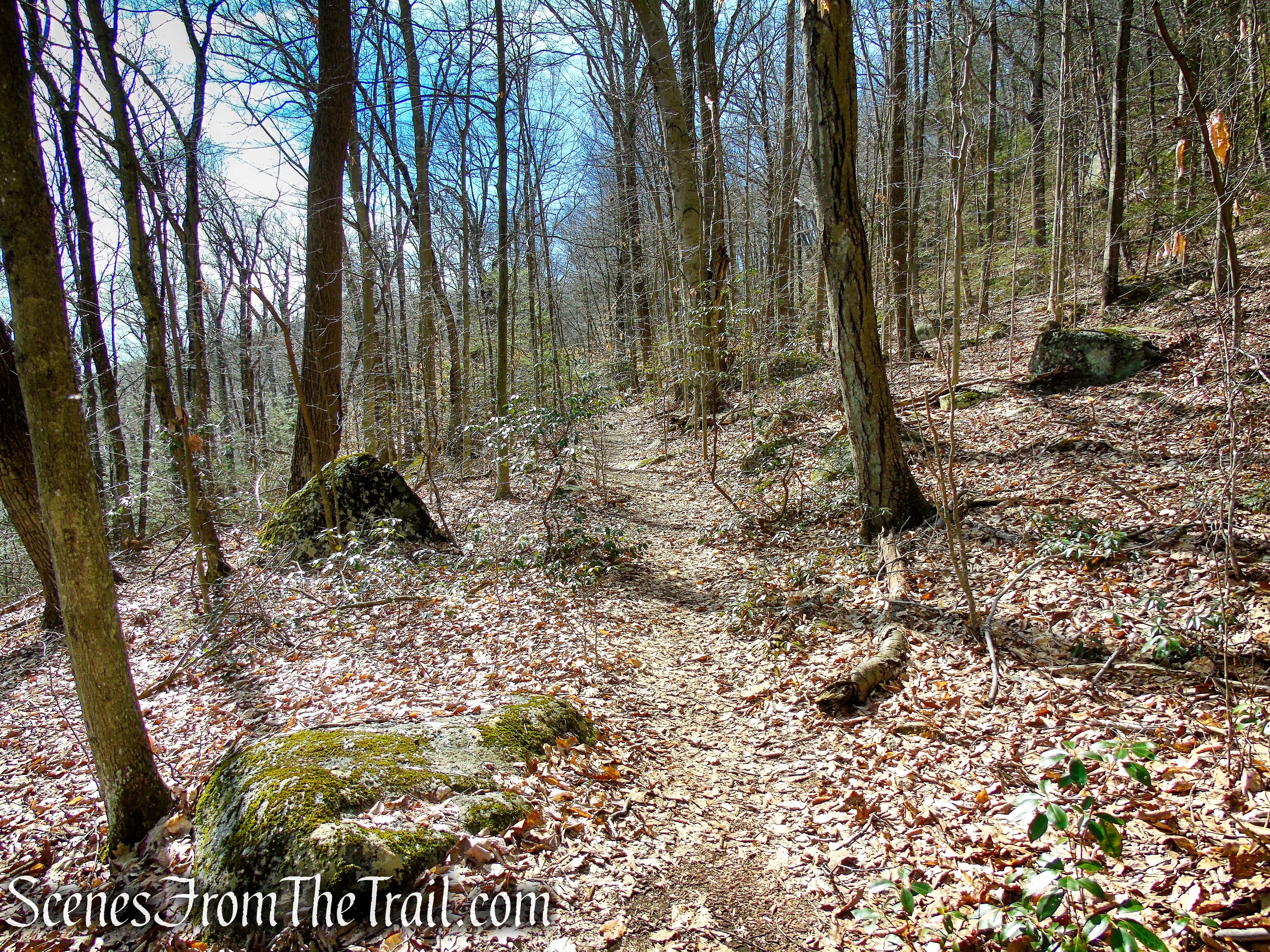 Red Trail - Squantz Pond State Park