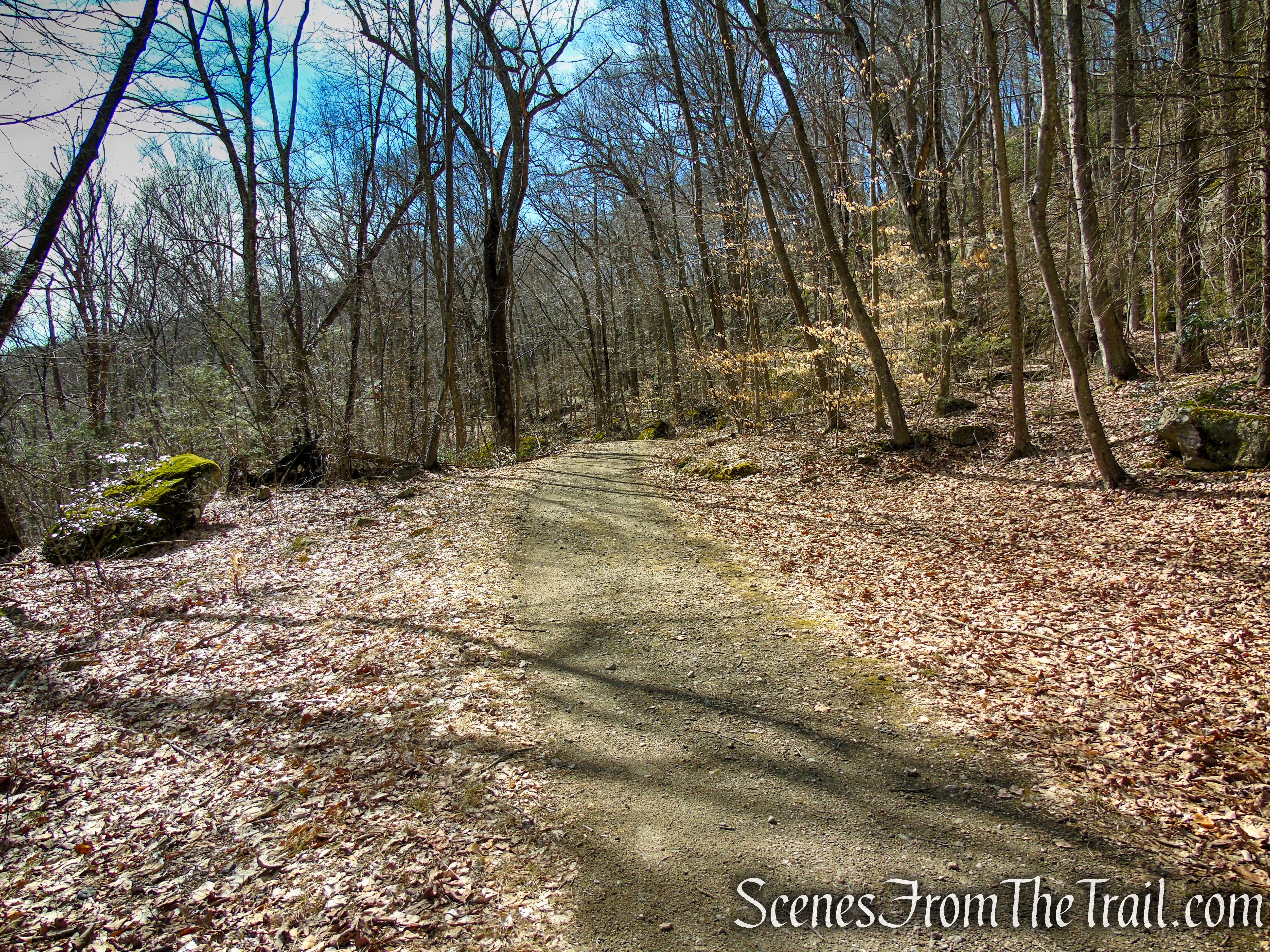 Fire Road - Squantz Pond State Park