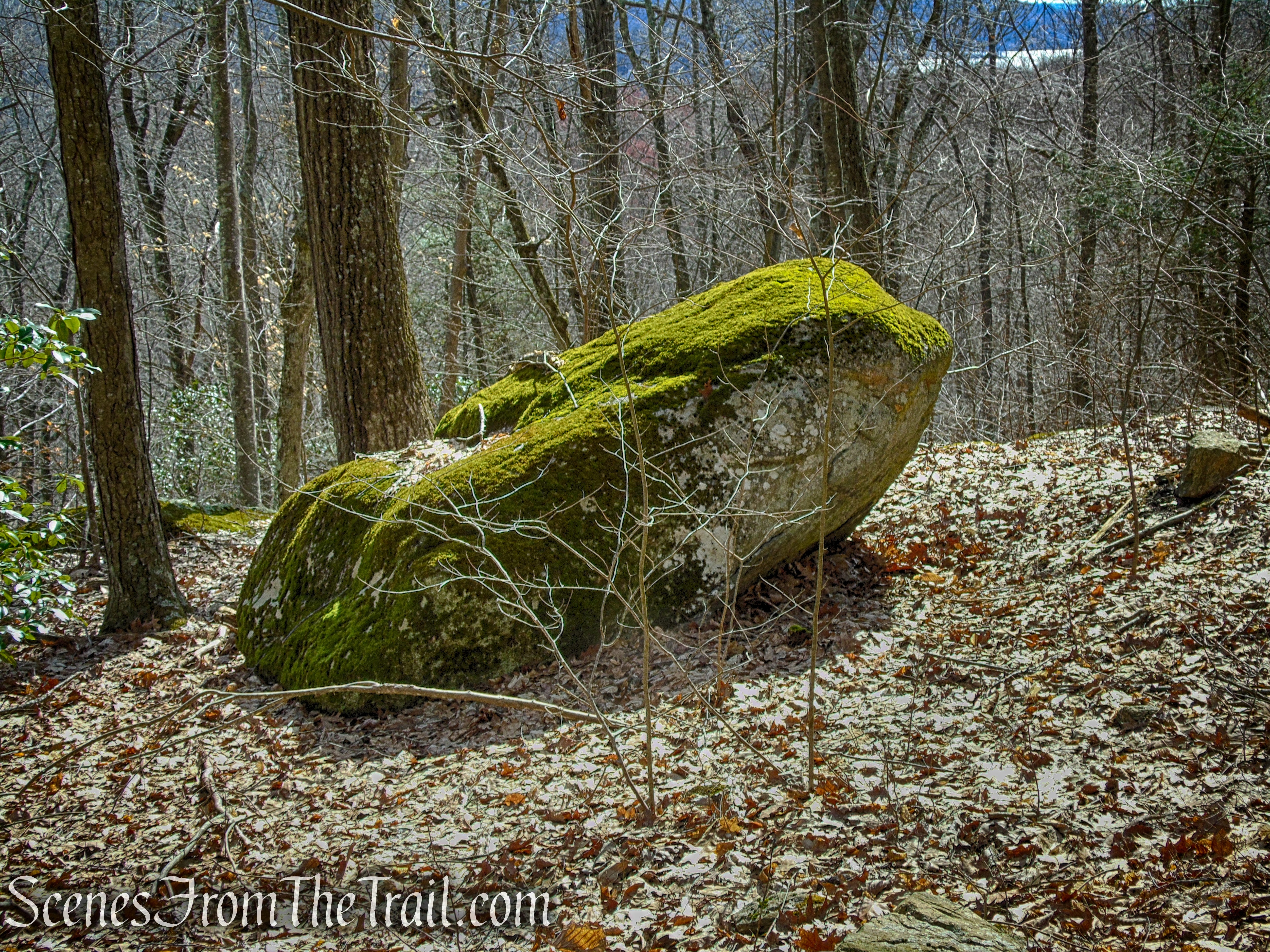 "Frog Rock" along the Fire Road