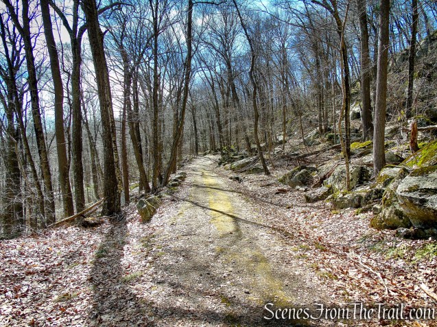 Fire Road - Squantz Pond State Park