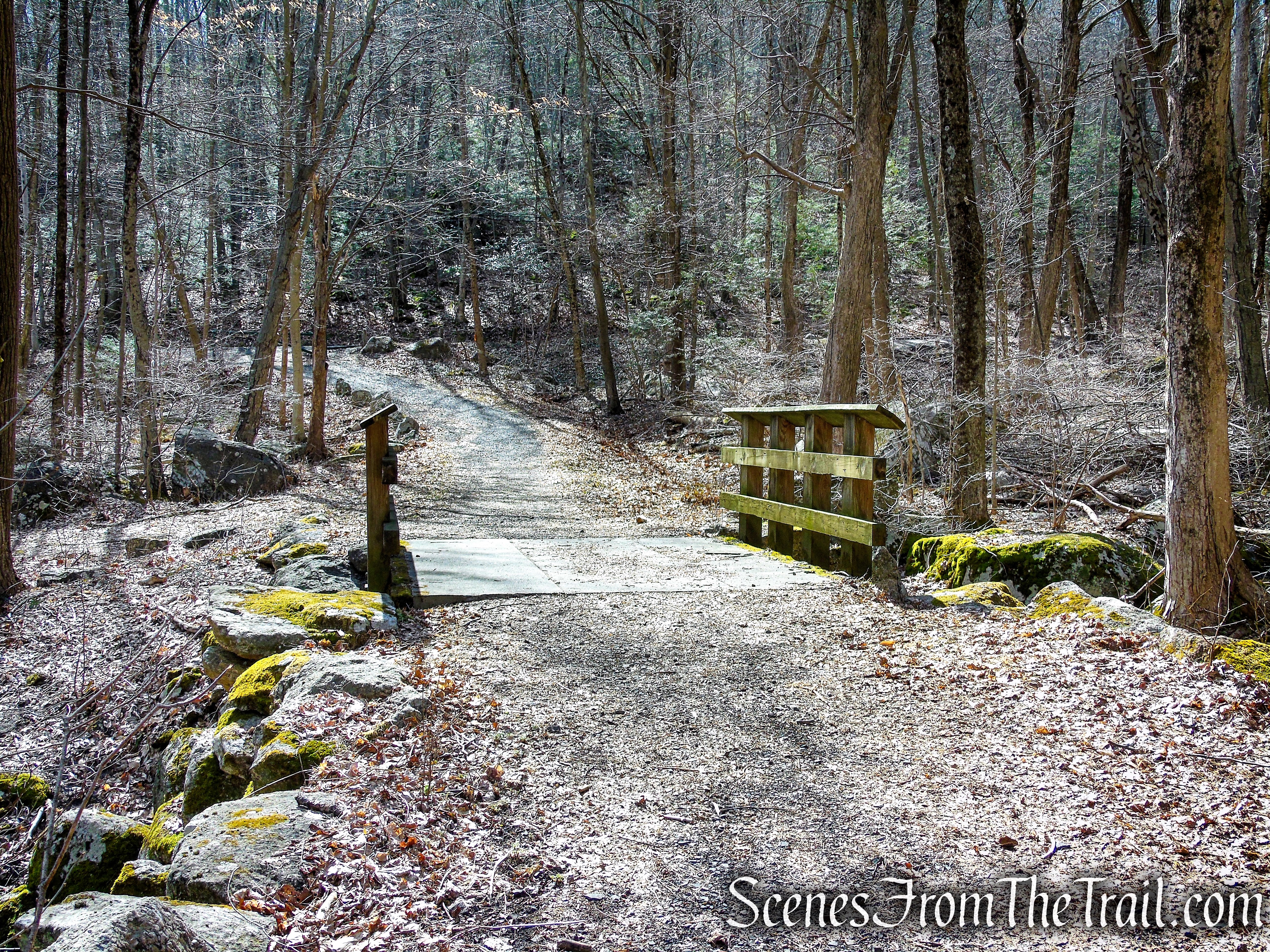Fire Road - Squantz Pond State Park