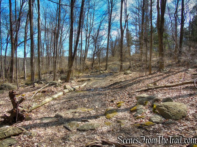 Green/Teal - Squantz Pond State Park