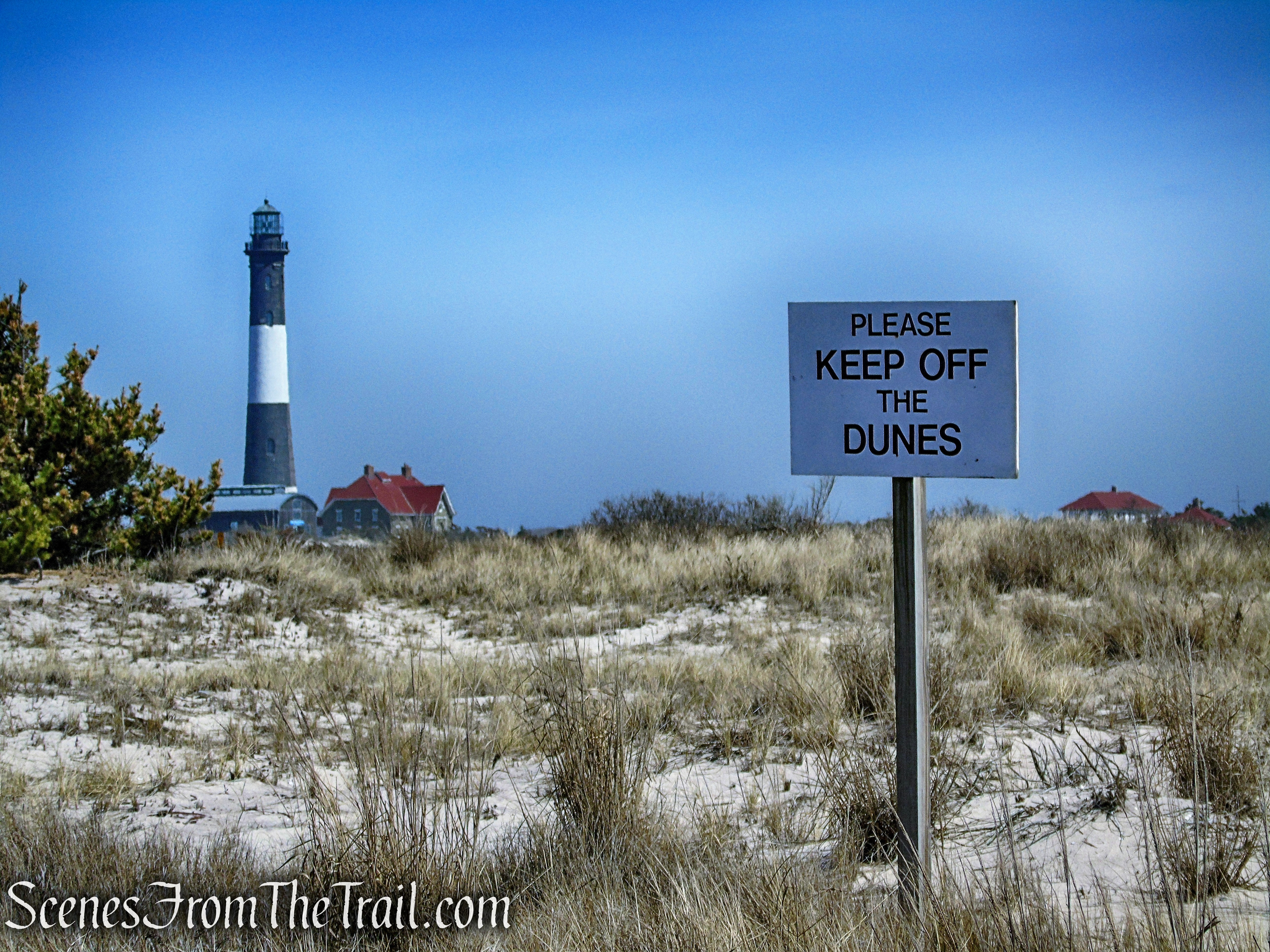 Nature Trail - Fire Island National Seashore