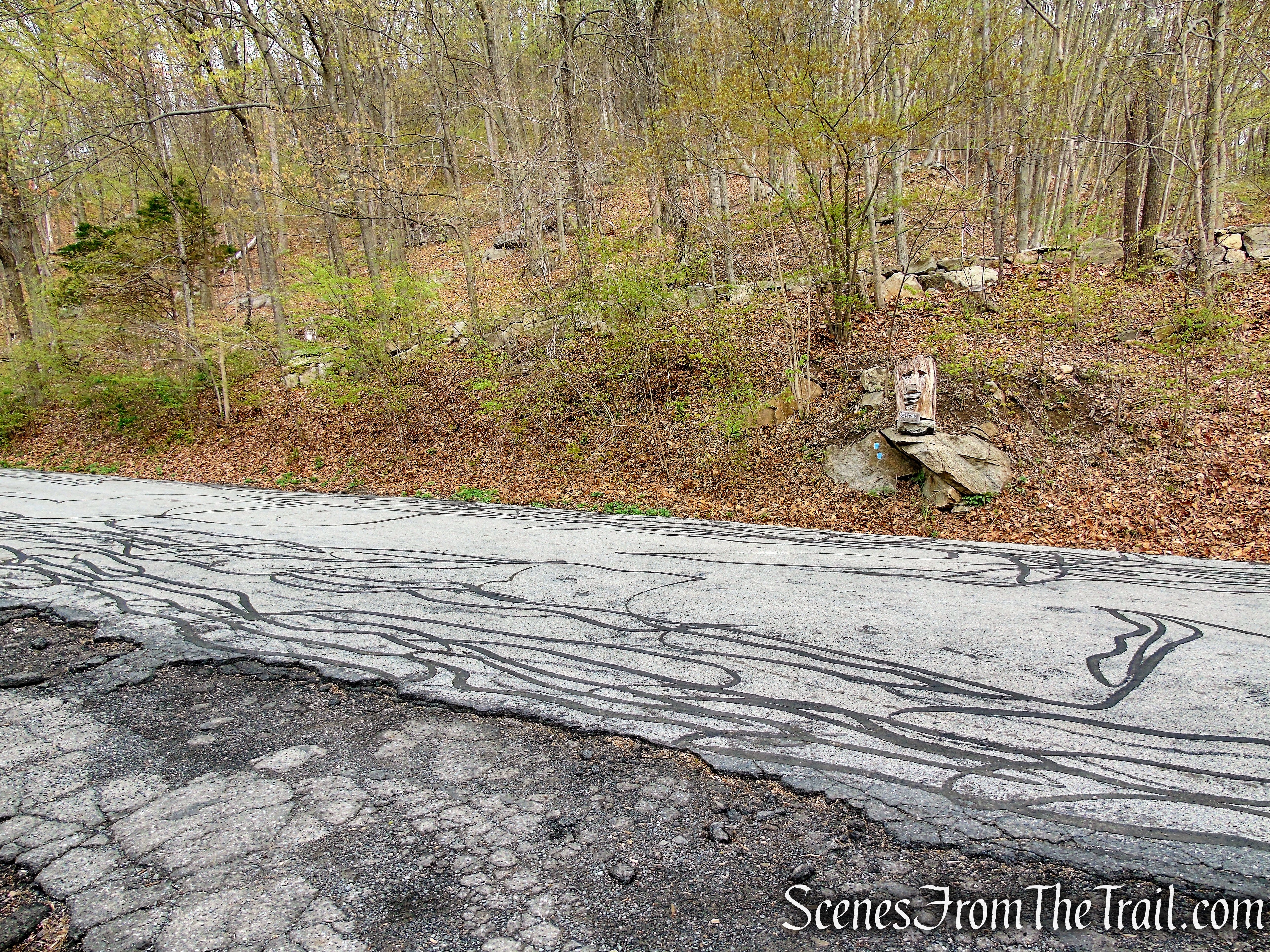 Mine Road Trailhead - Timp-Torne Trail