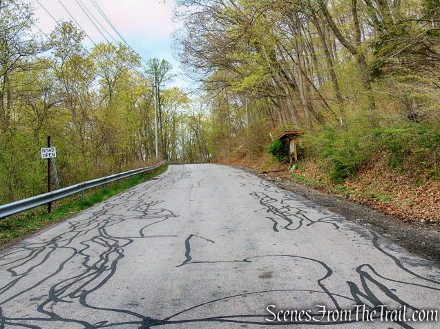Mine Road Trailhead - Timp-Torne Trail
