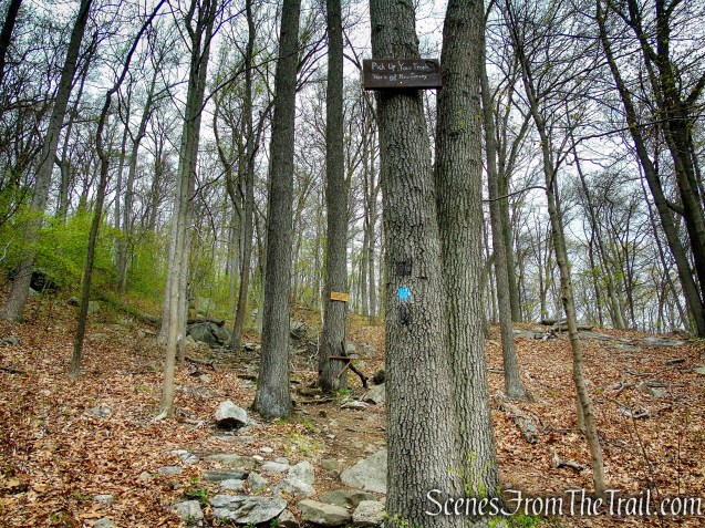 Timp-Torne Trail - Popolopen Torne