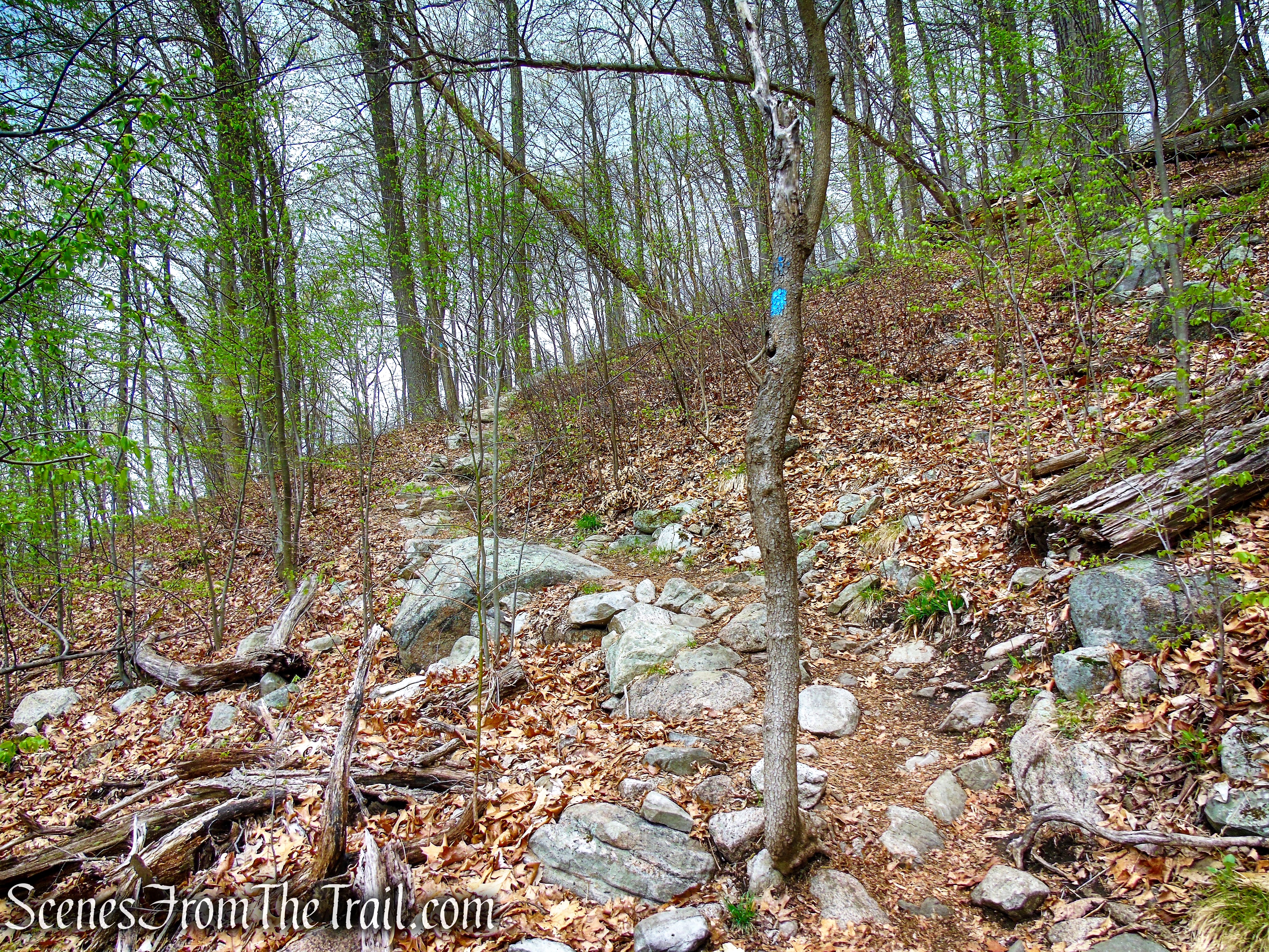 Timp-Torne Trail - Popolopen Torne