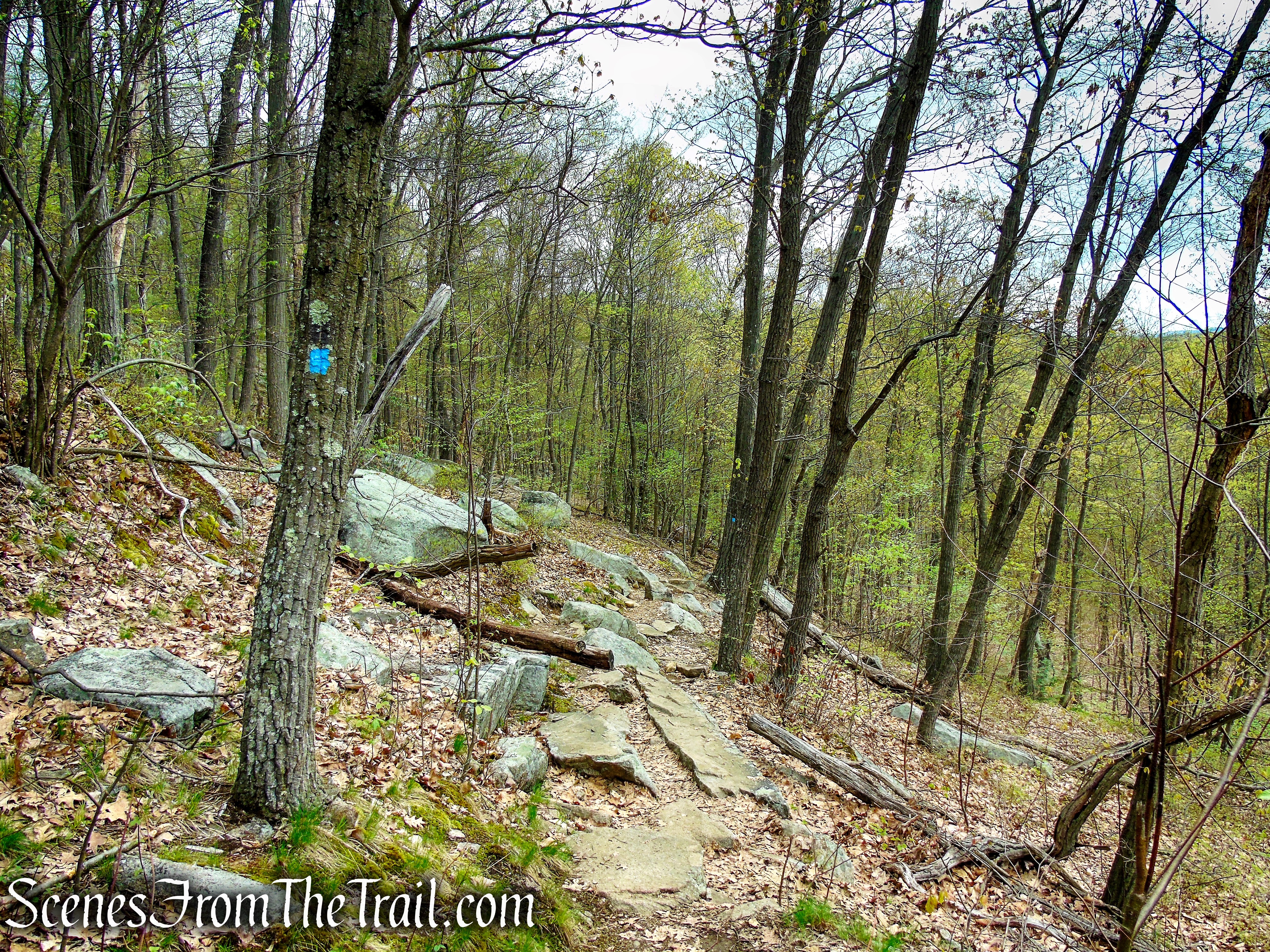 Timp-Torne Trail - Popolopen Torne