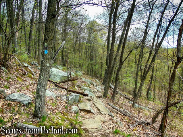 Timp-Torne Trail - Popolopen Torne