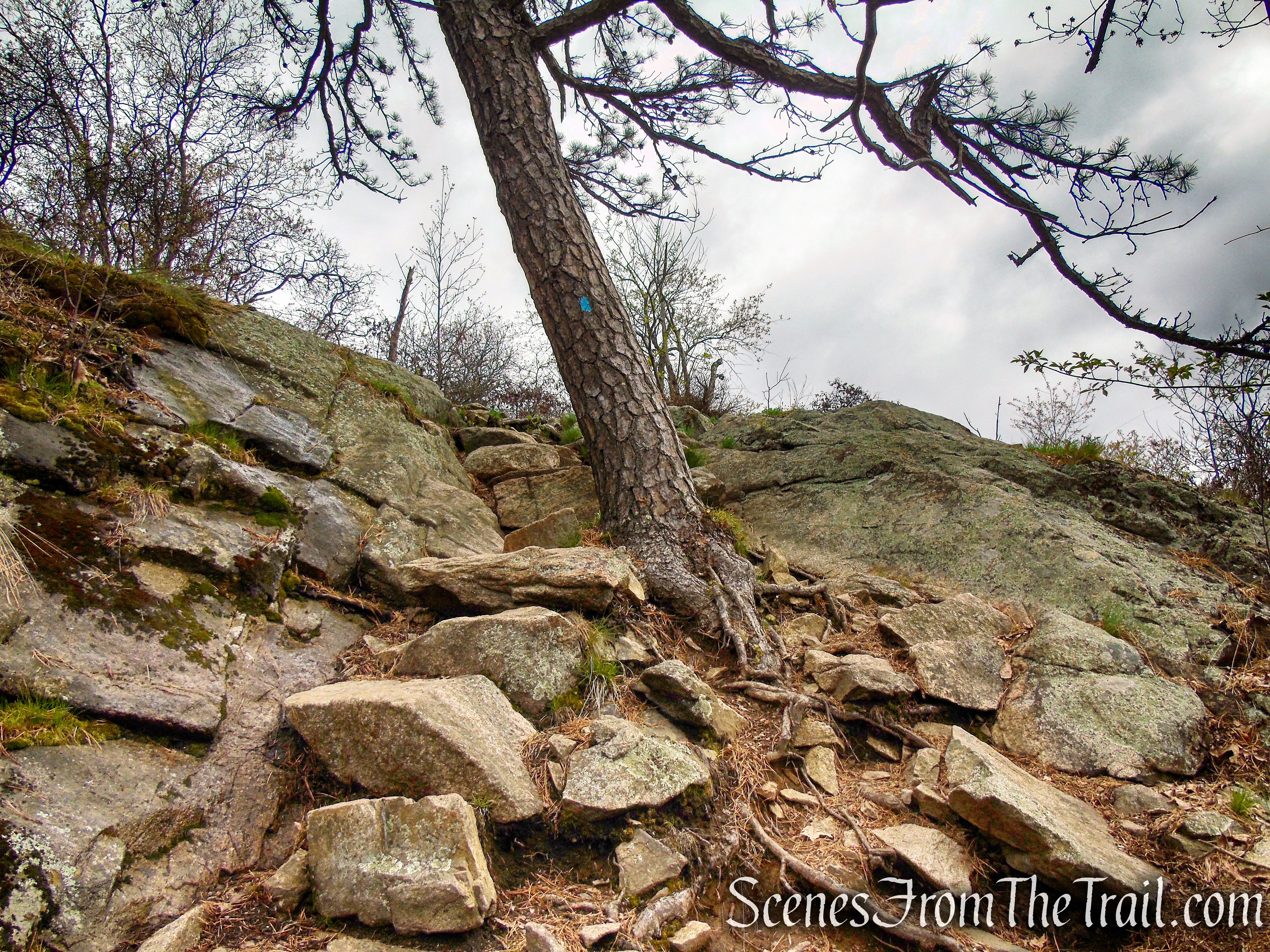 Timp-Torne Trail - Popolopen Torne