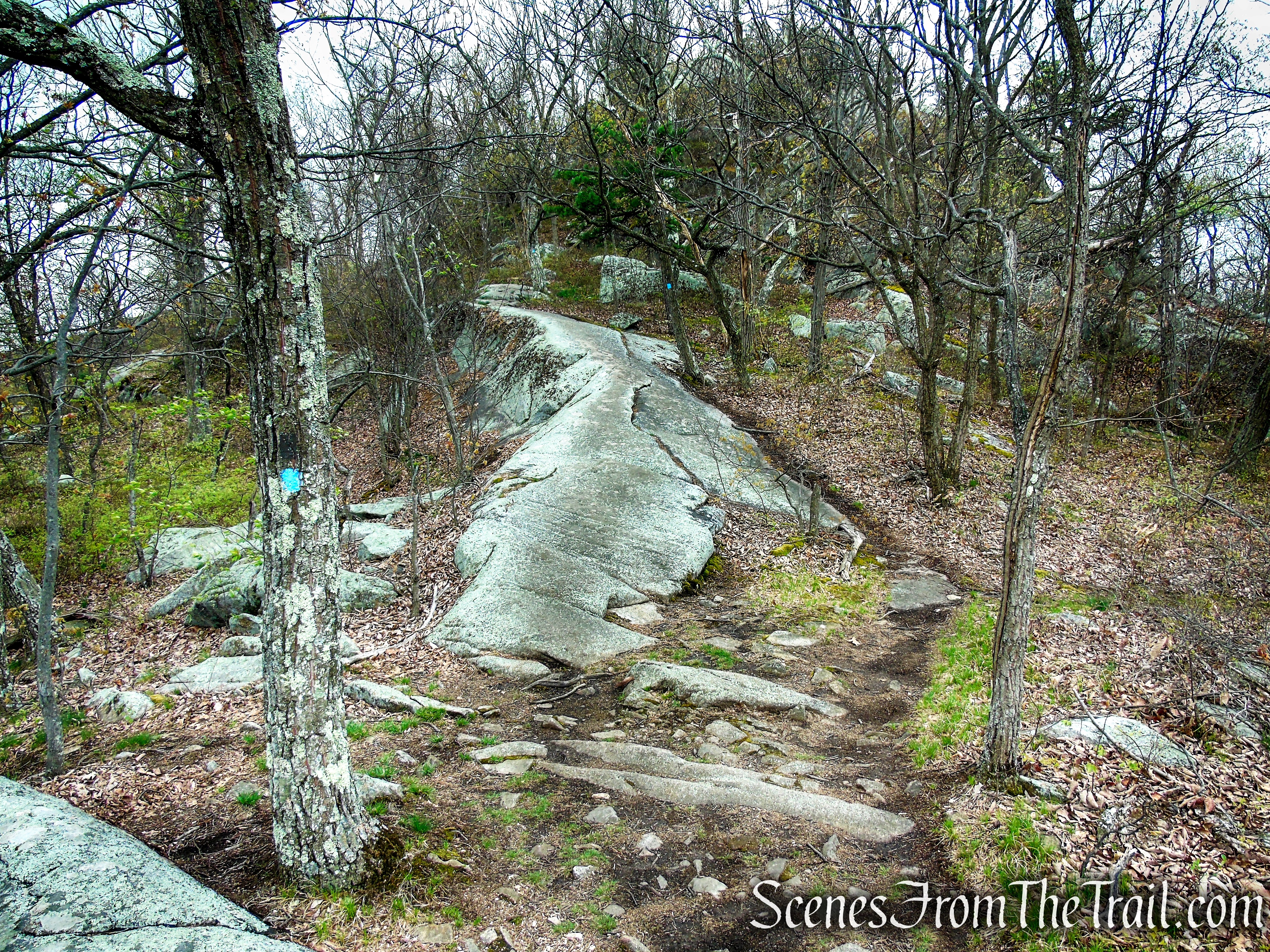 Timp-Torne Trail - Popolopen Torne