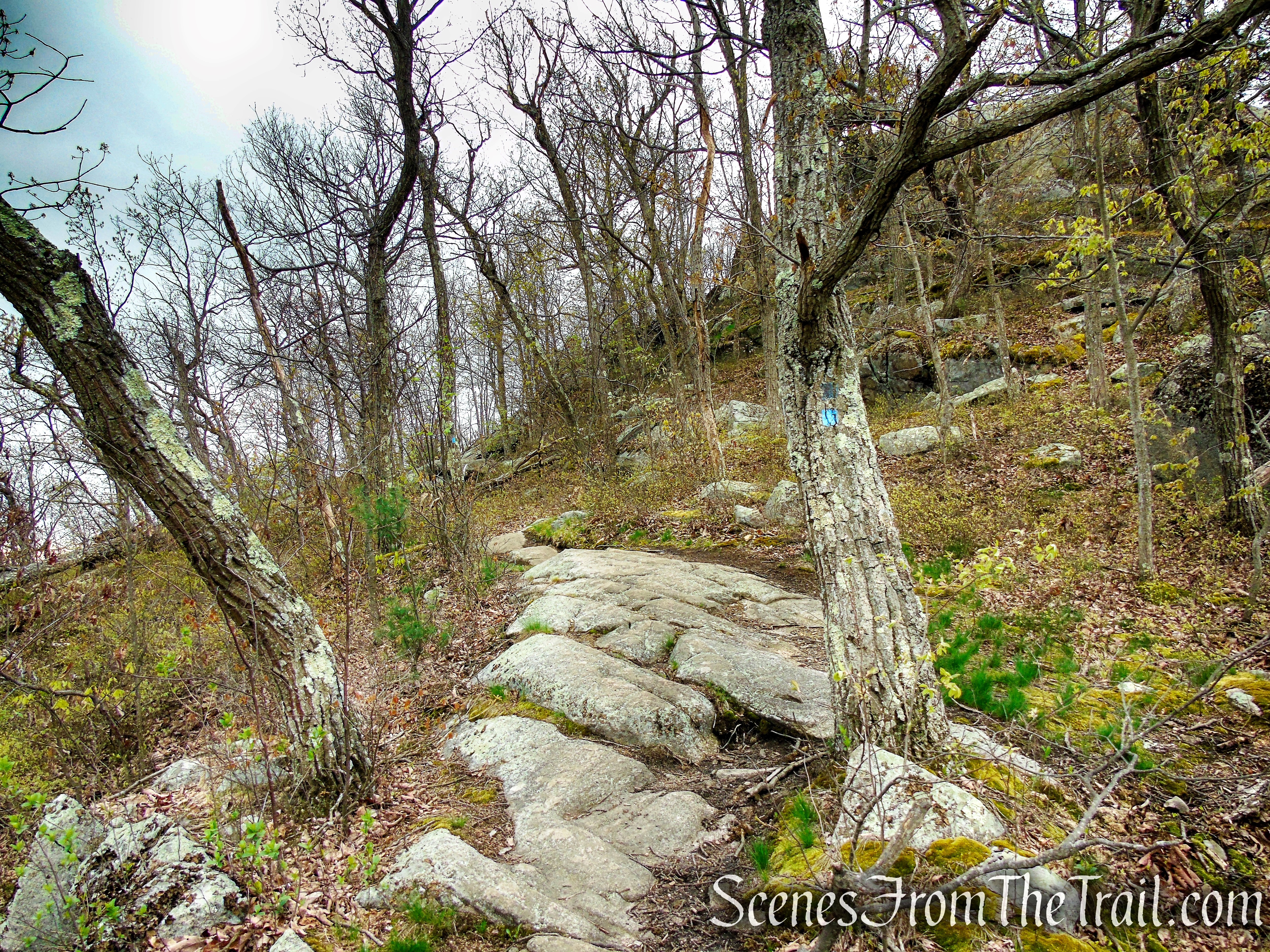 Timp-Torne Trail - Popolopen Torne