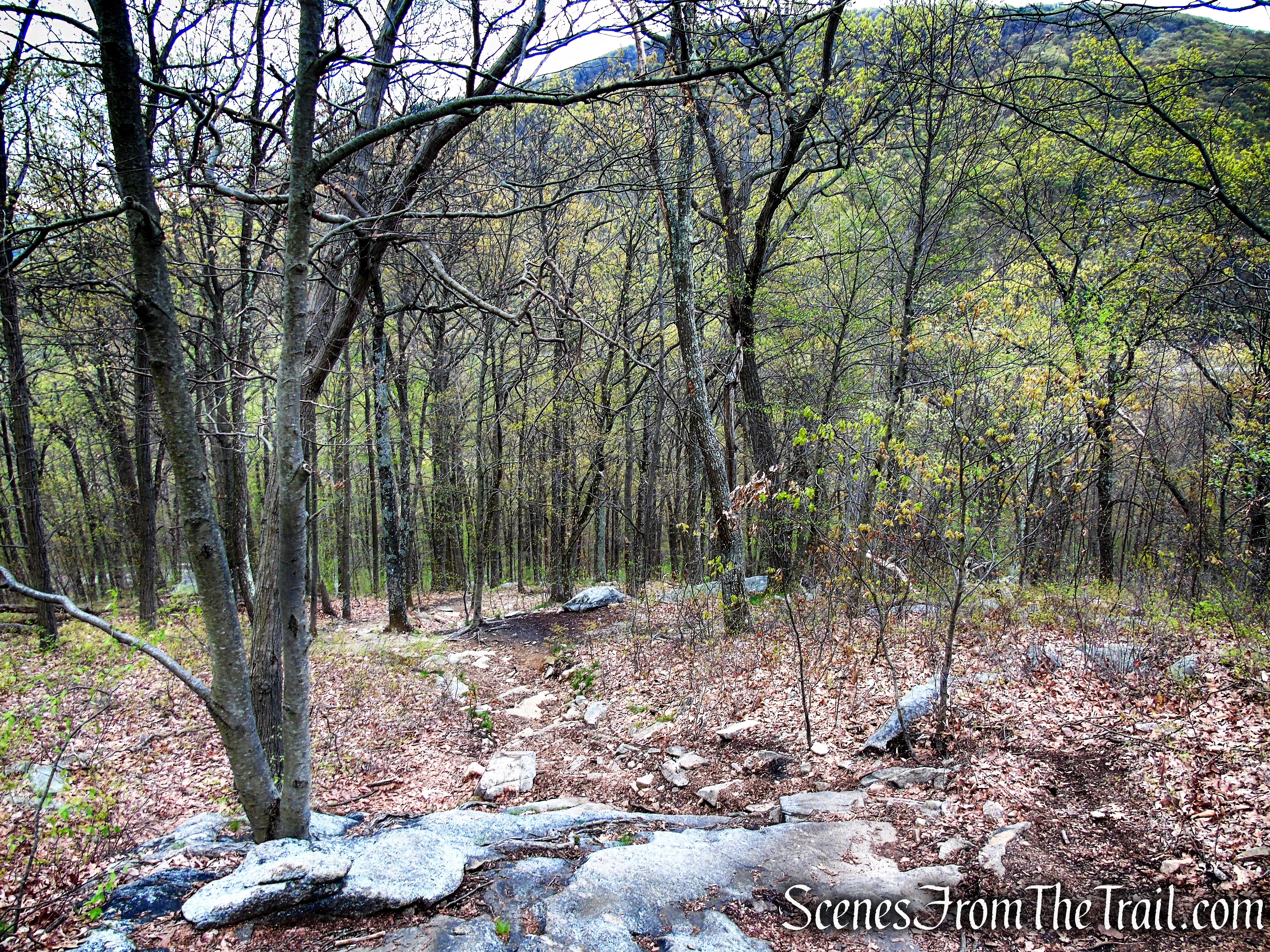 Timp-Torne Trail - Popolopen Torne