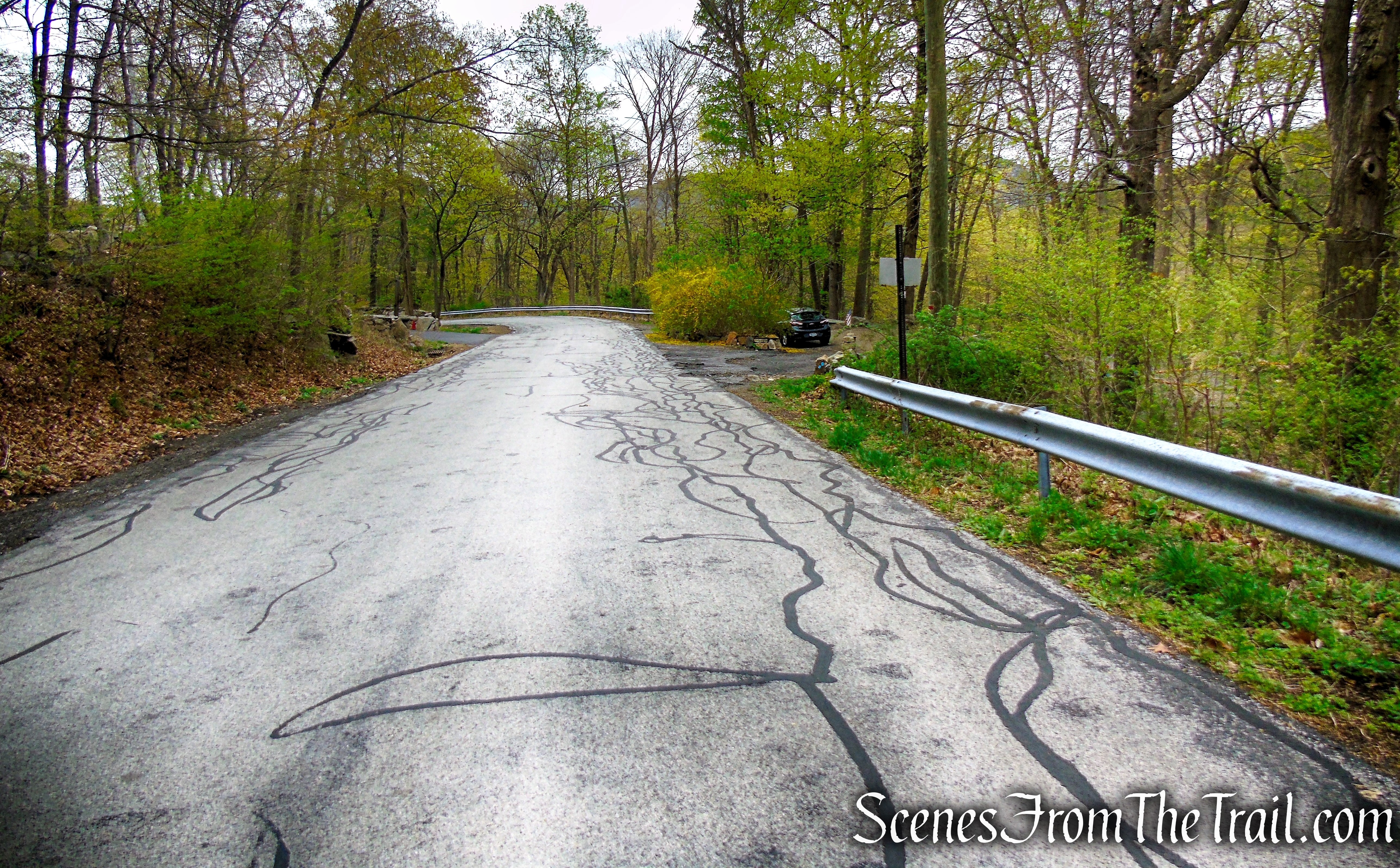 Mine Road Trailhead - Timp-Torne Trail