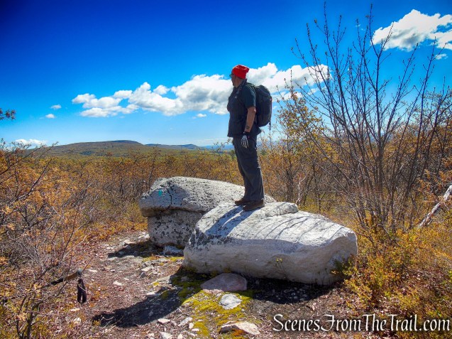 Roosa Gap State Forest