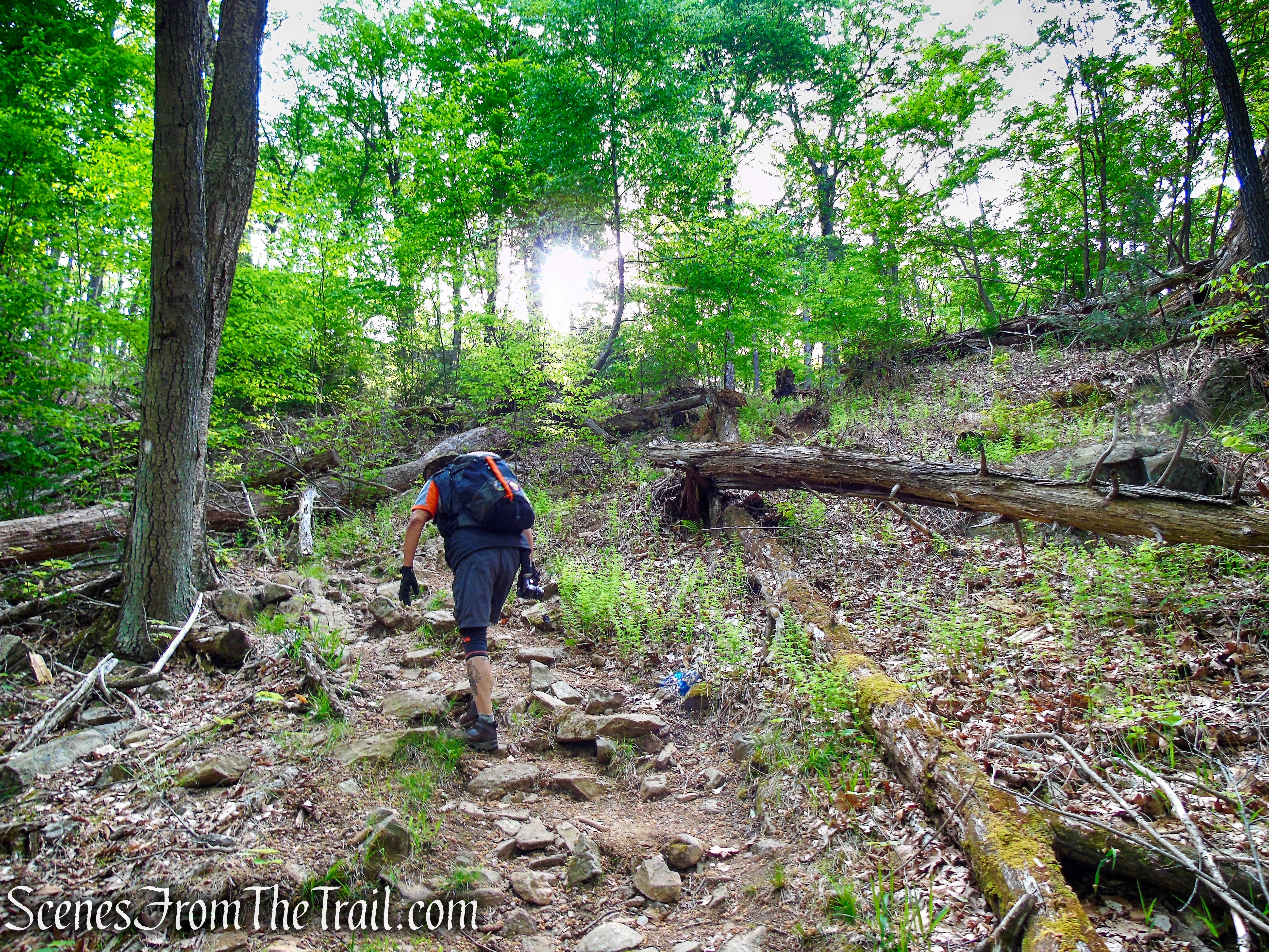 Nurian Trail - Harriman State Park