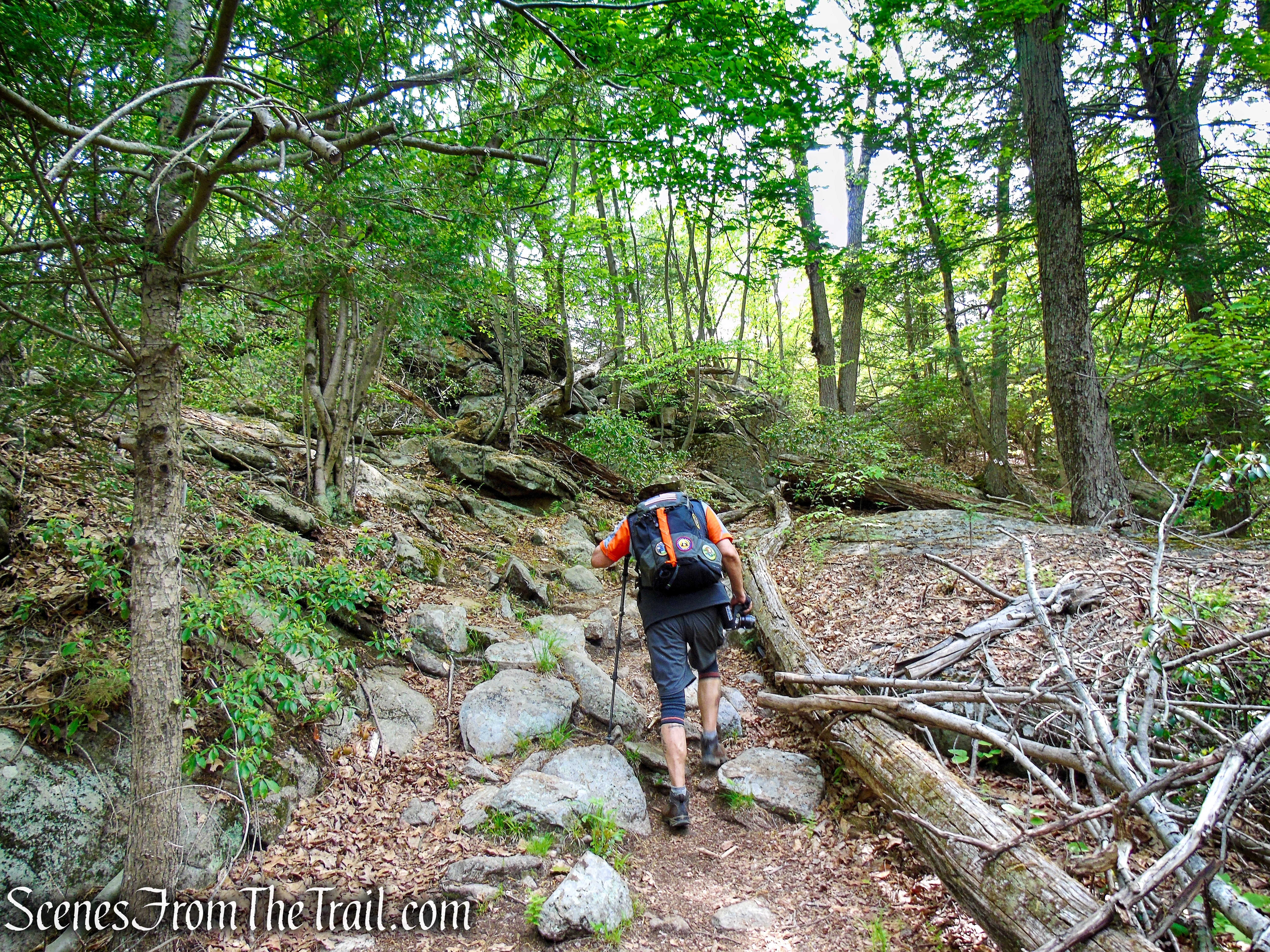 Ramapo-Dunderberg Trail - Black Rock Mountain